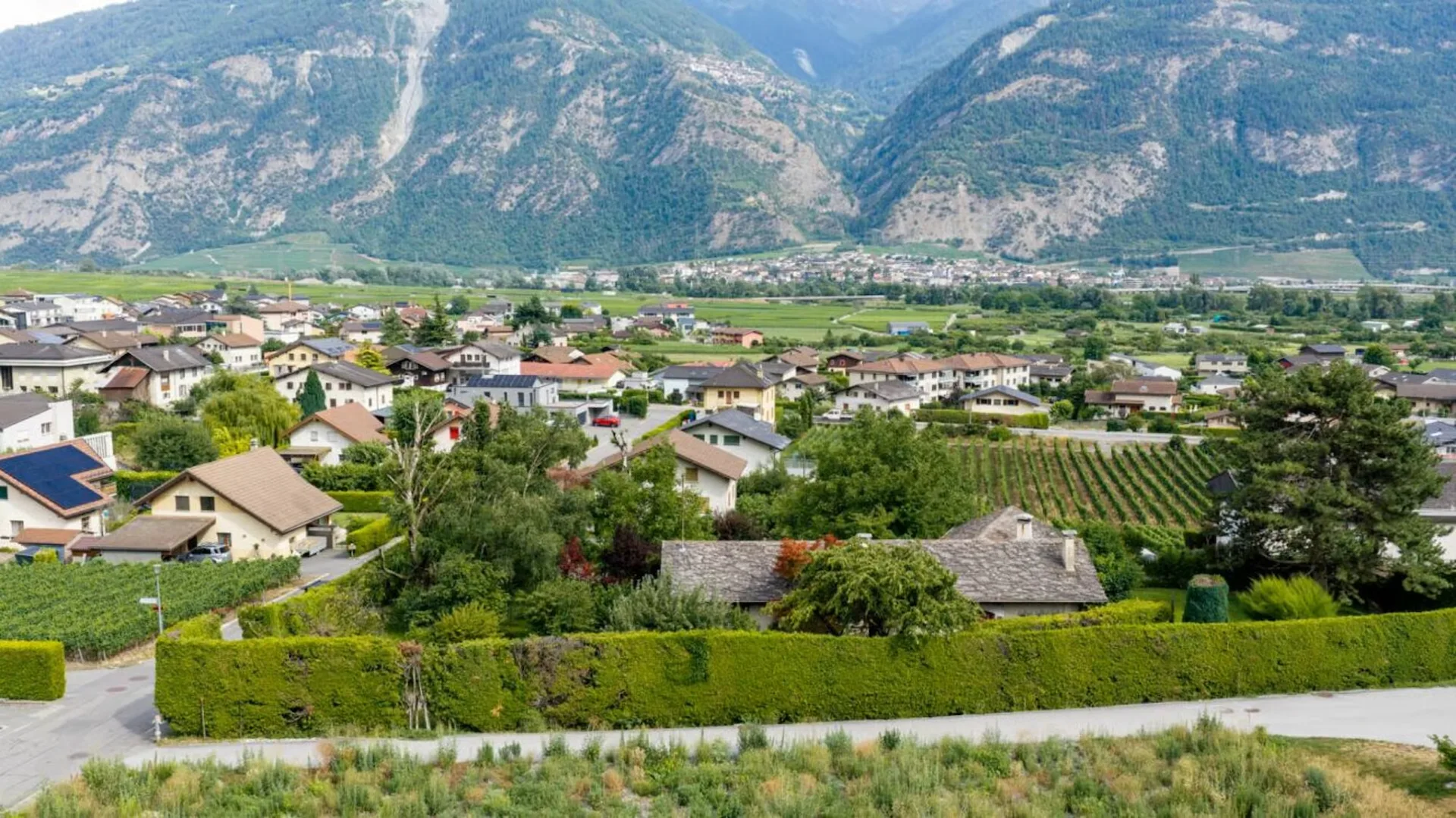 Die Weinberge von L'Arche - Los Nr. 1