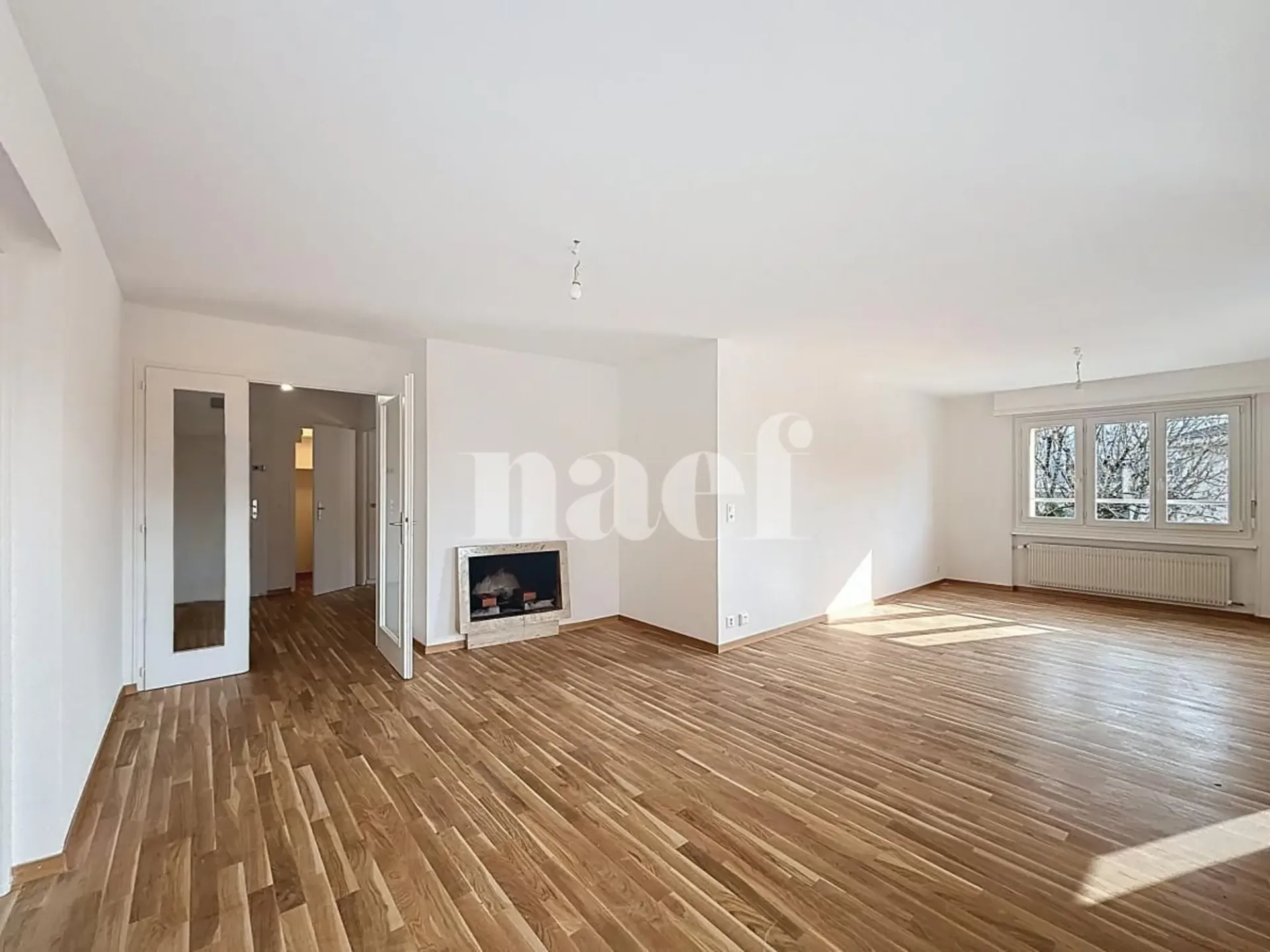 Geräumige renovierte Wohnung