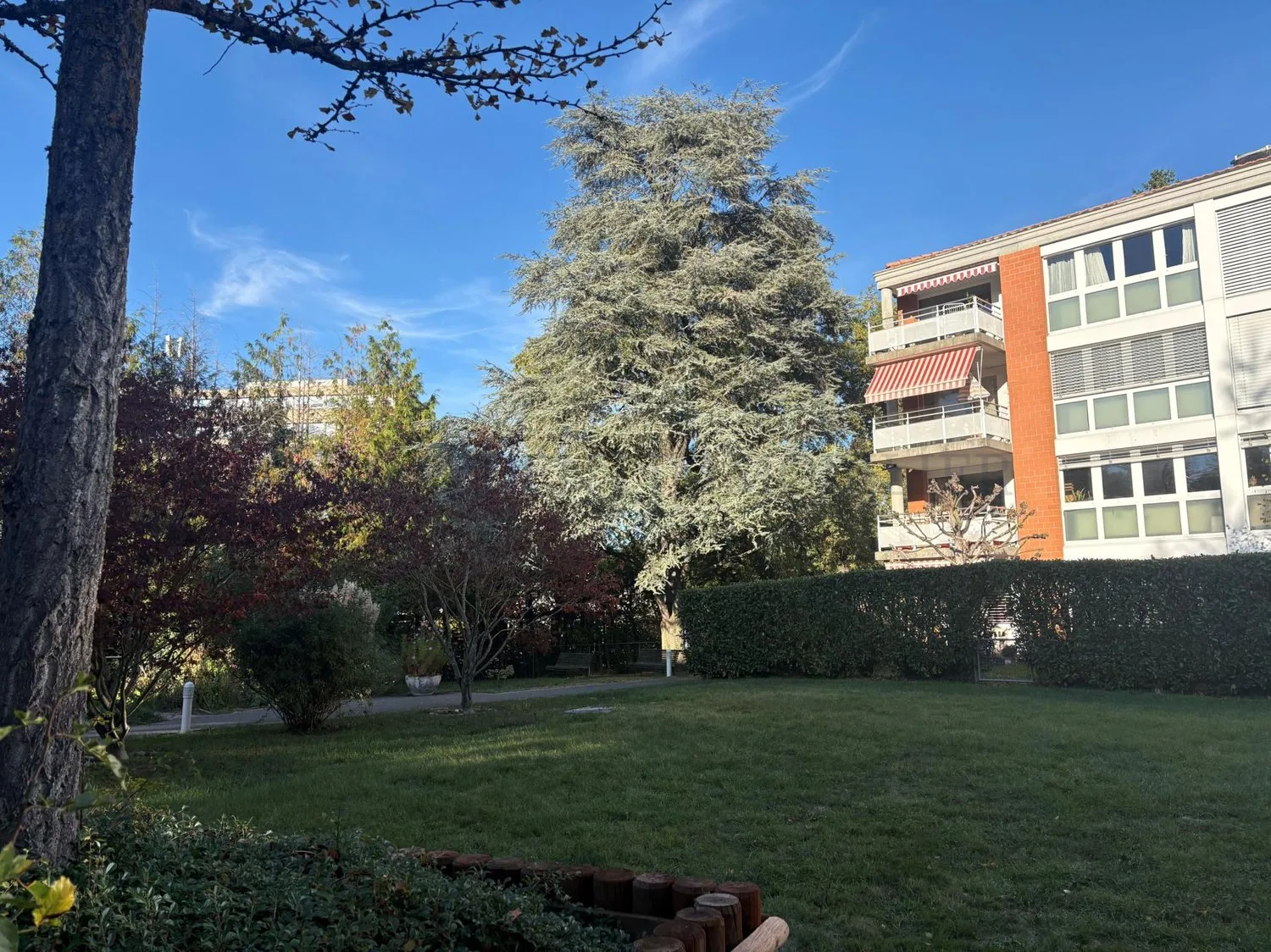 En exclusivité ! Charmant 5 pièces au coeur d'Onex