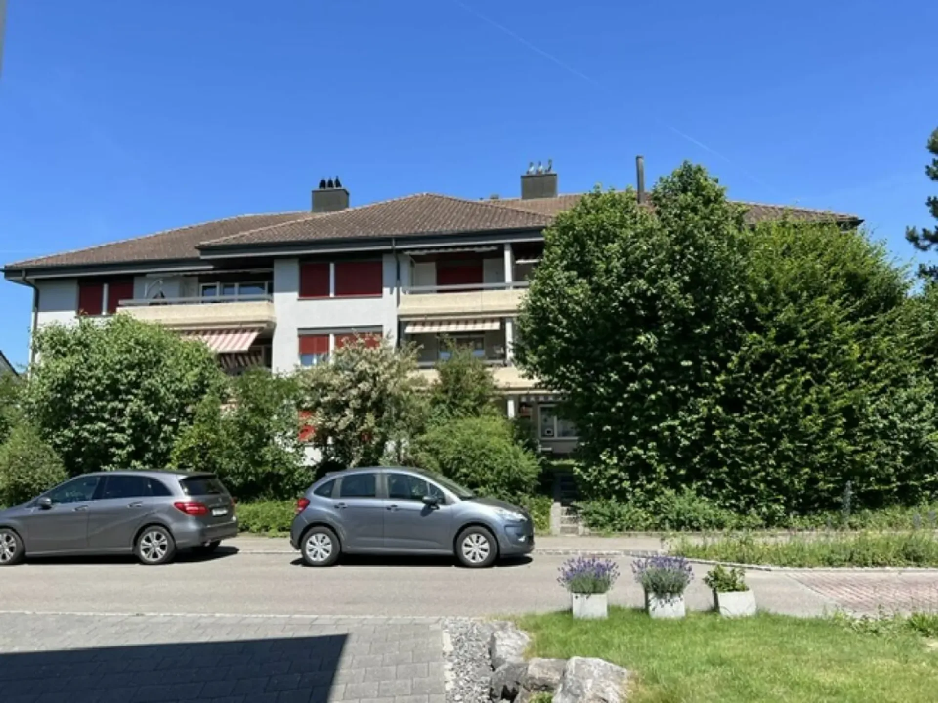 Frisch renovierte familiengerechte Traumwohnung
