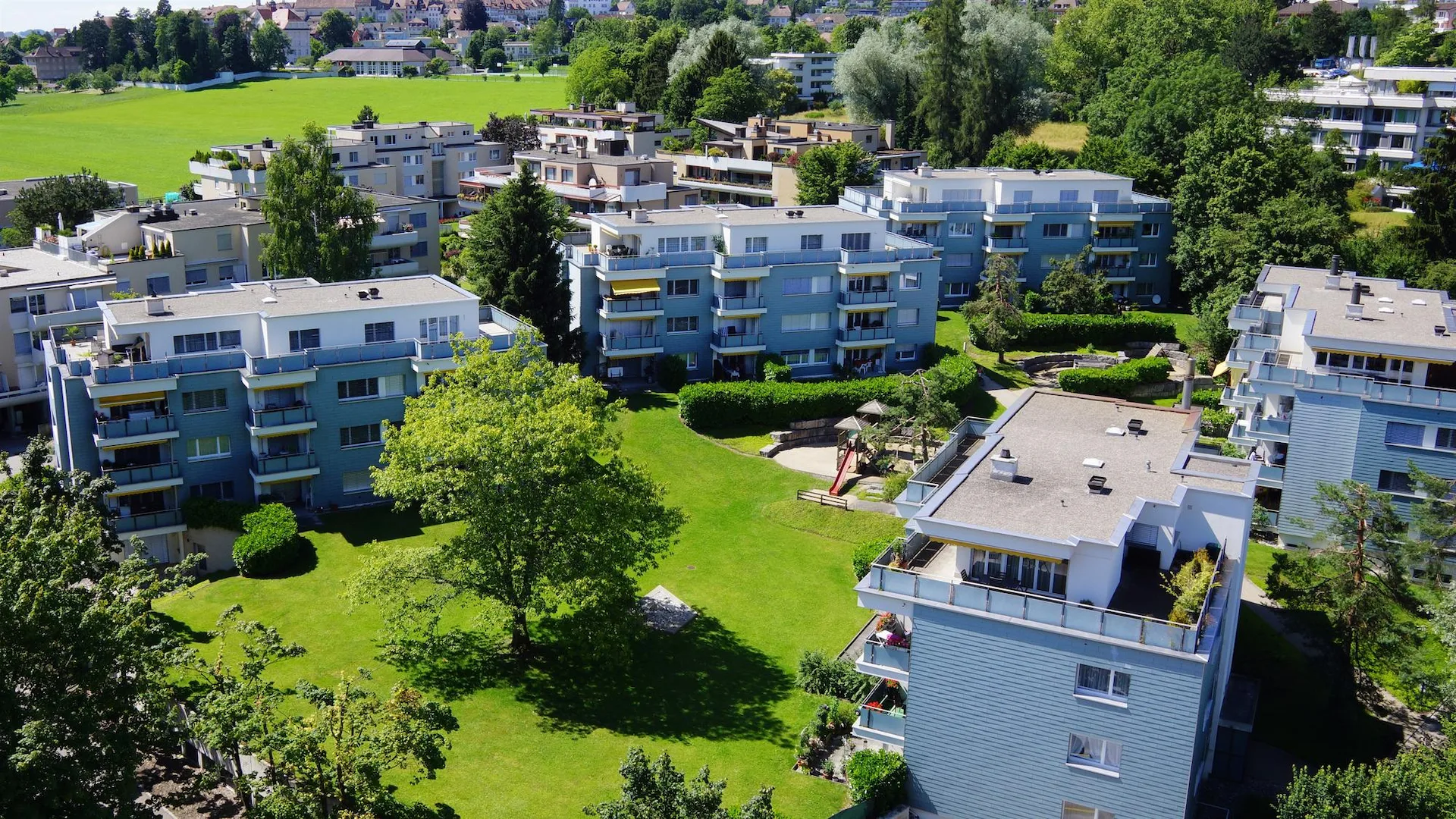 Good Neighborhood!