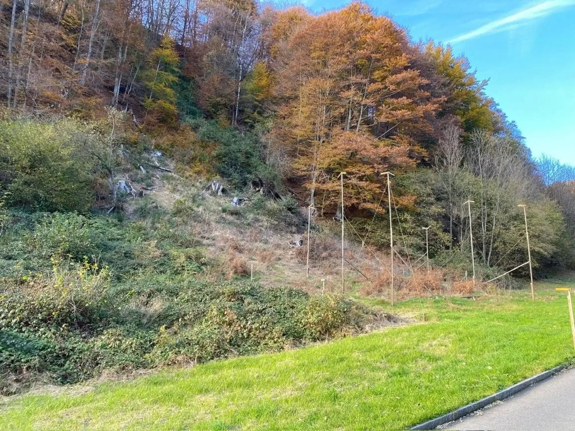 Sonniges Bauland mit Aussicht in Maglio di Colla