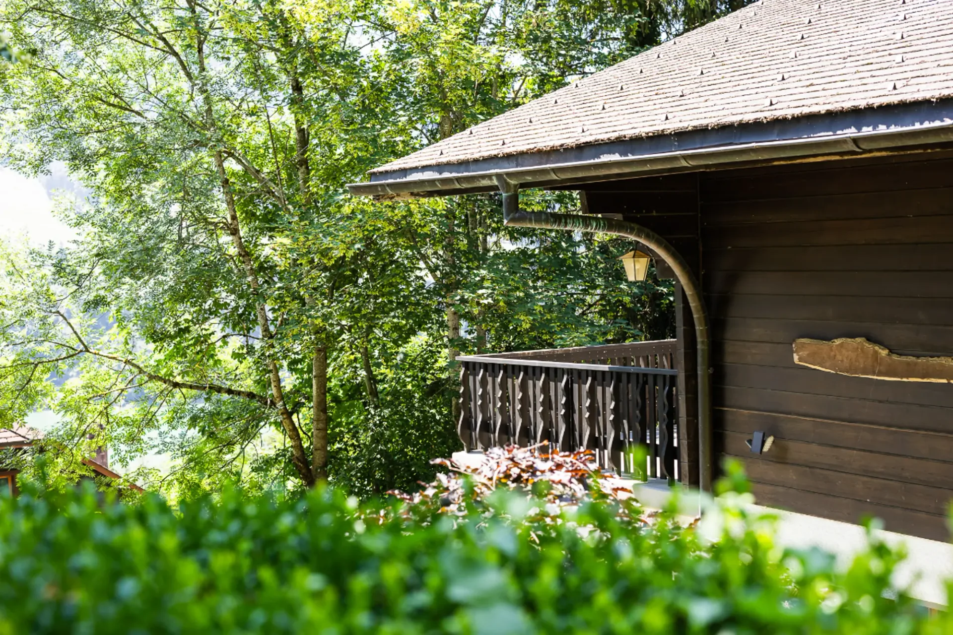 Chalet in einem grünen Ambiente: Lage und Grundstück von Ausnahme
