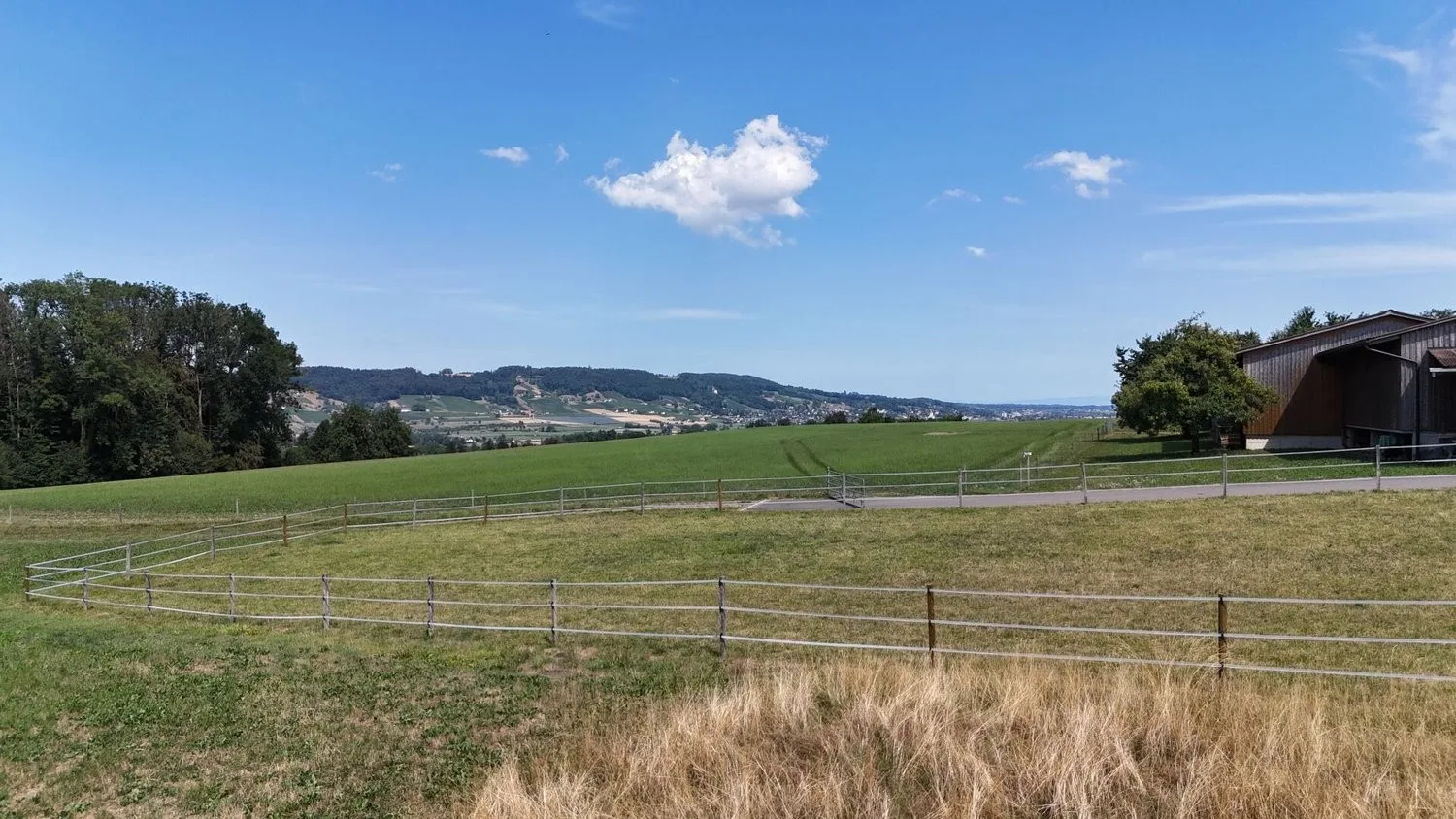 Neubau 5.5-Zi.-Doppeleinfamilienhaus an erhöhter Wohnlage mit Weitsicht in Amlikon-Bissegg (Haus A)