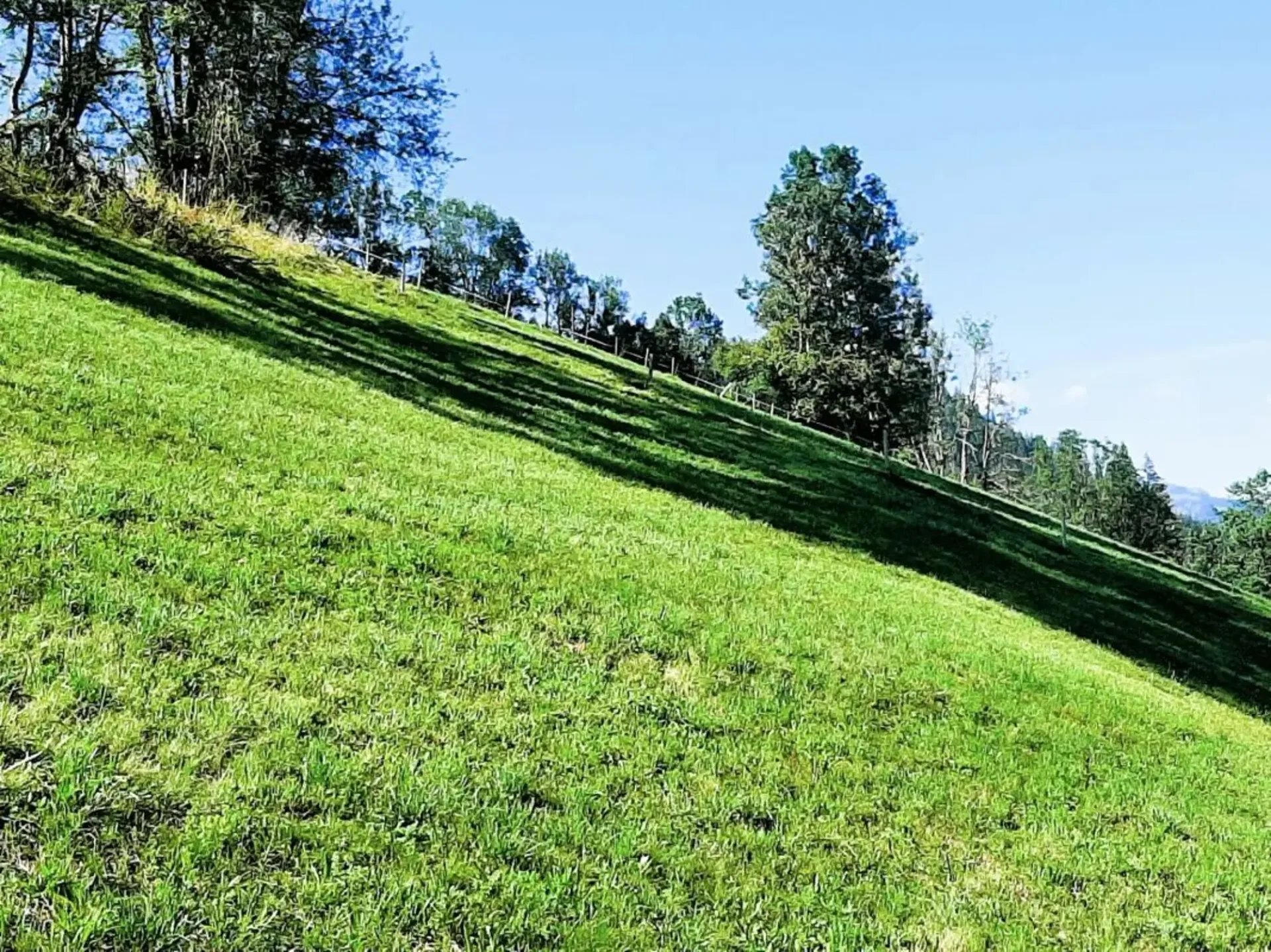 Terrain à bâtir partagé sur une pente ensoleillée à Zweisimmen BE
