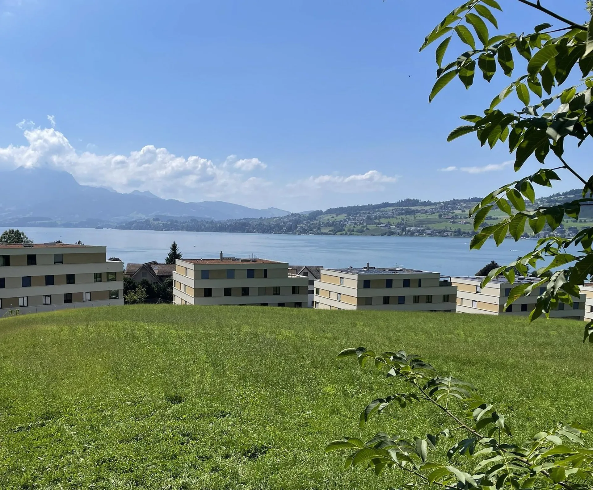 Exklusive 5.5-Zimmer-Einfamilienhäuser (DEFH) - Steinmatt am Rubibach