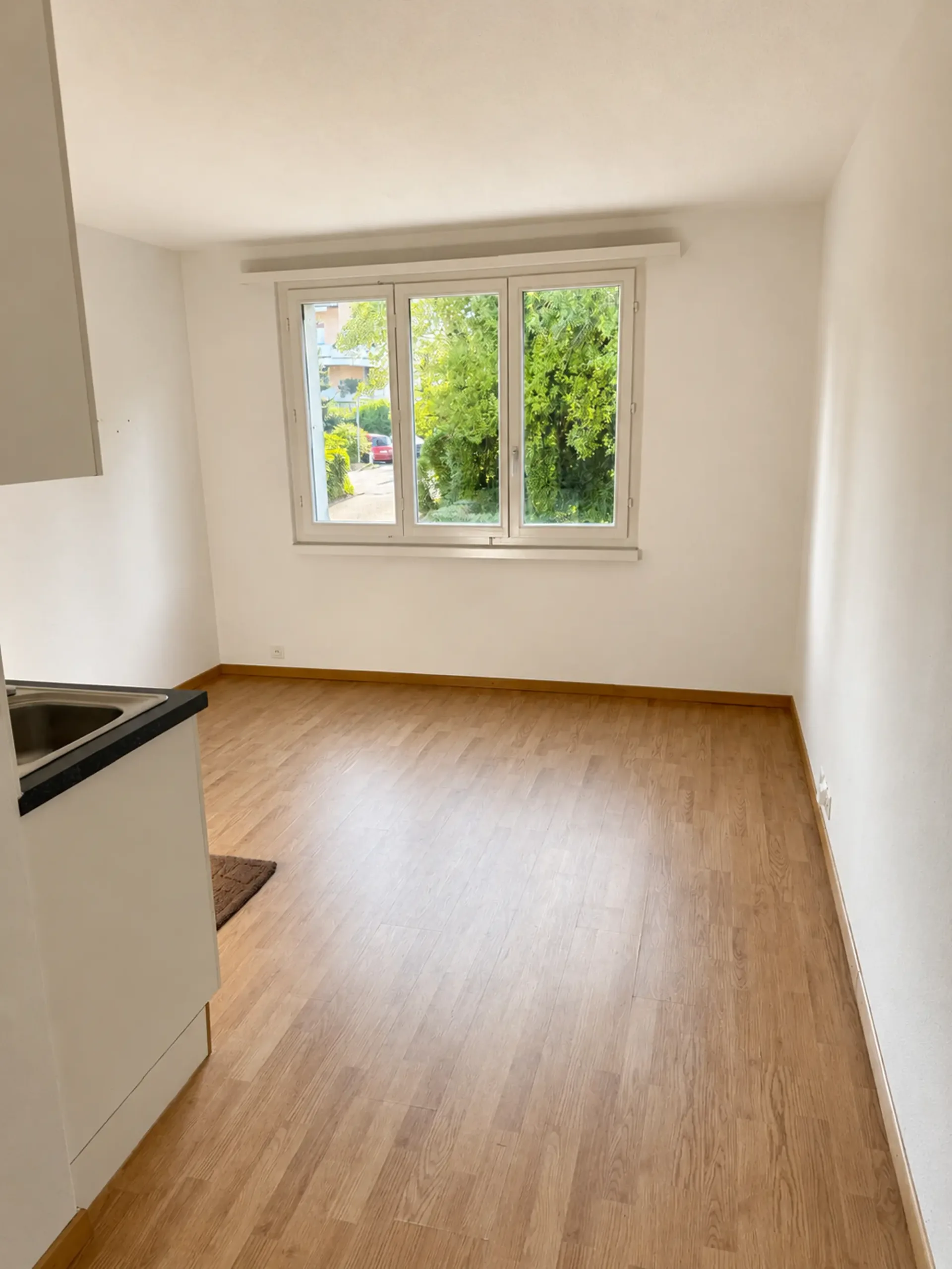 Gemütliches Studio oder Home-Office/Archiv