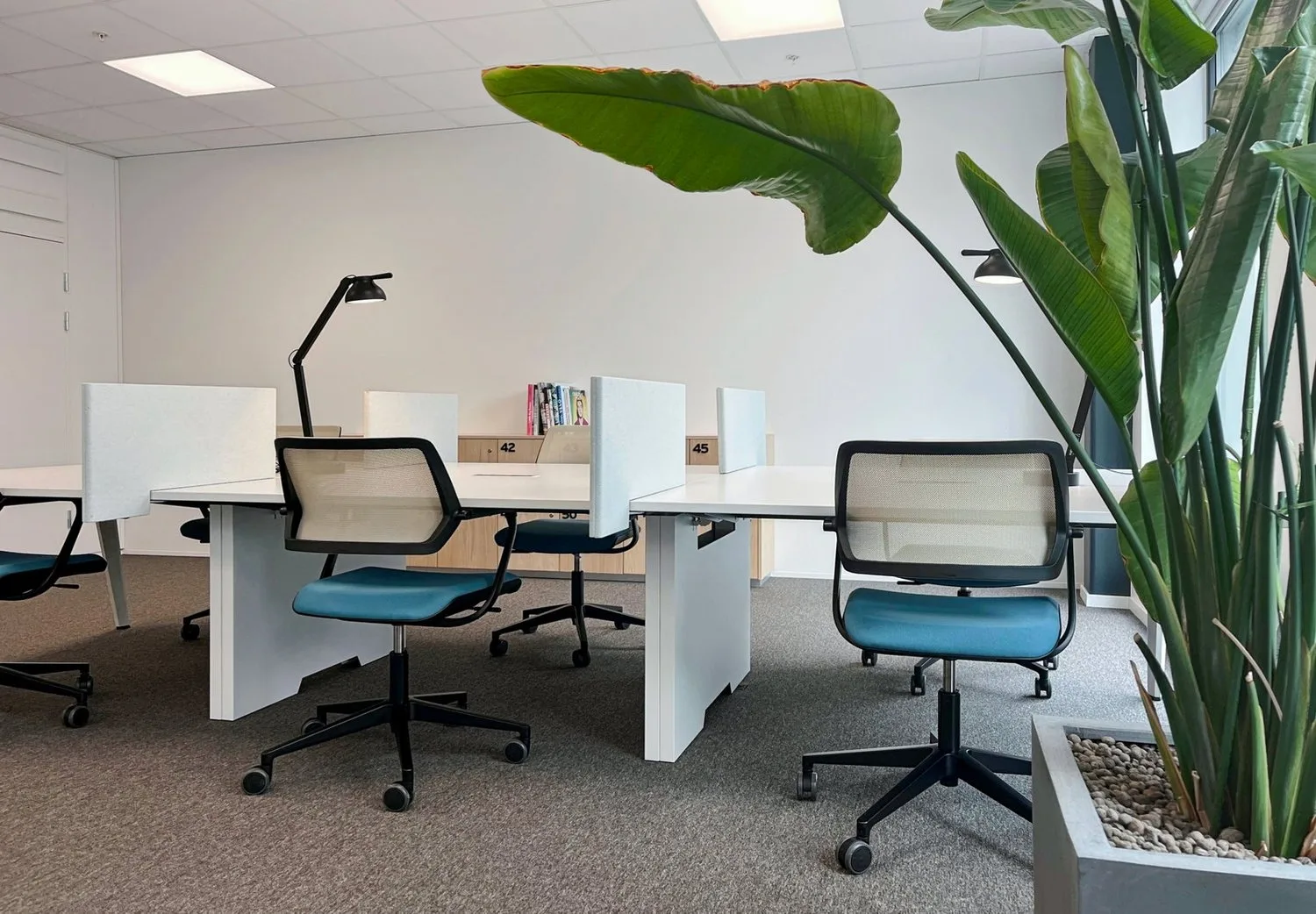 Private office space for 40 in Regus City Old Town