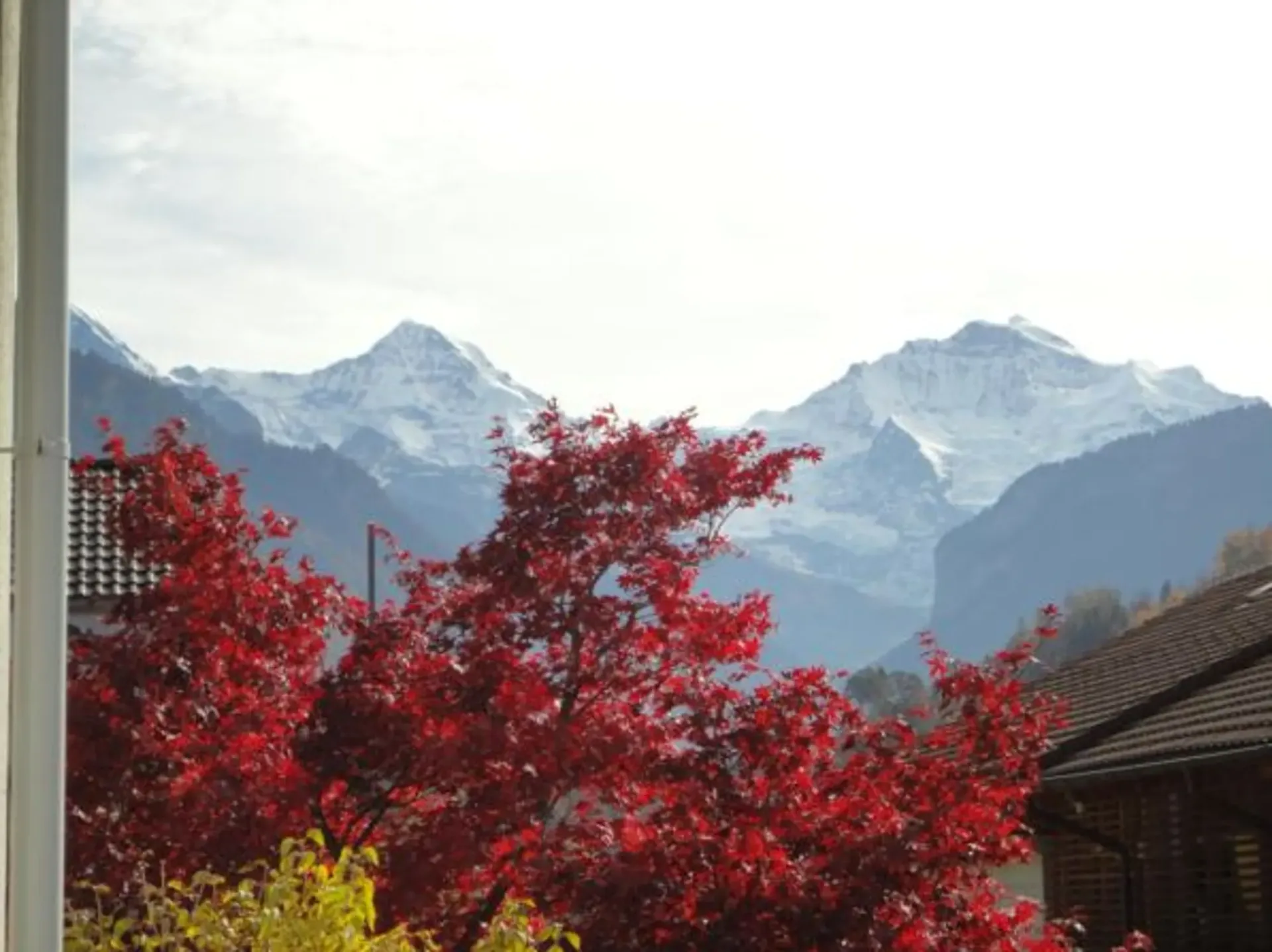 EIGER, MÖNCH UND JUNGRAU - TOP AUSSICHT!