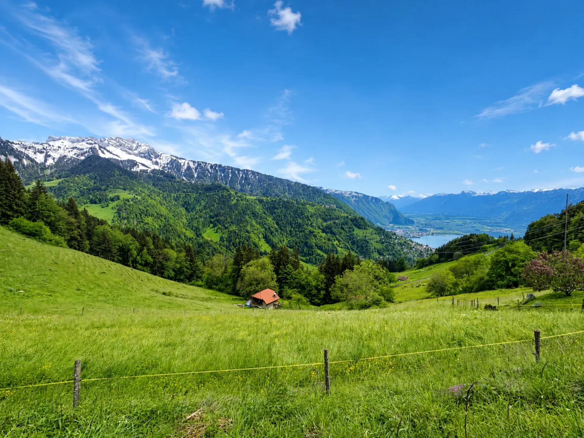 Chalet de charme au coeur des narcisses