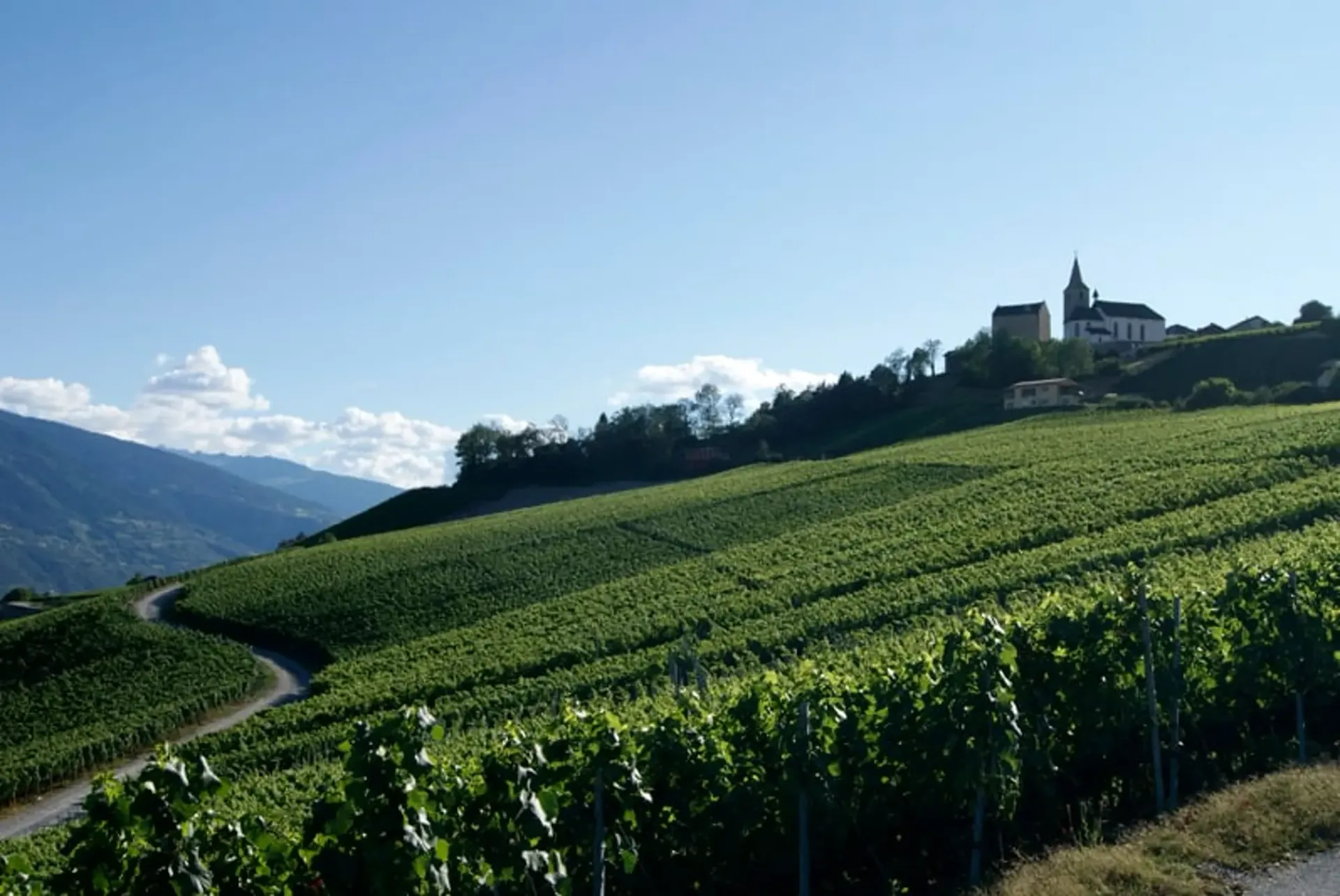 BAUGRUND - WALLIS - ZWISCHEN SIERRE UND CRANS-MONTANA - AUSBLICK