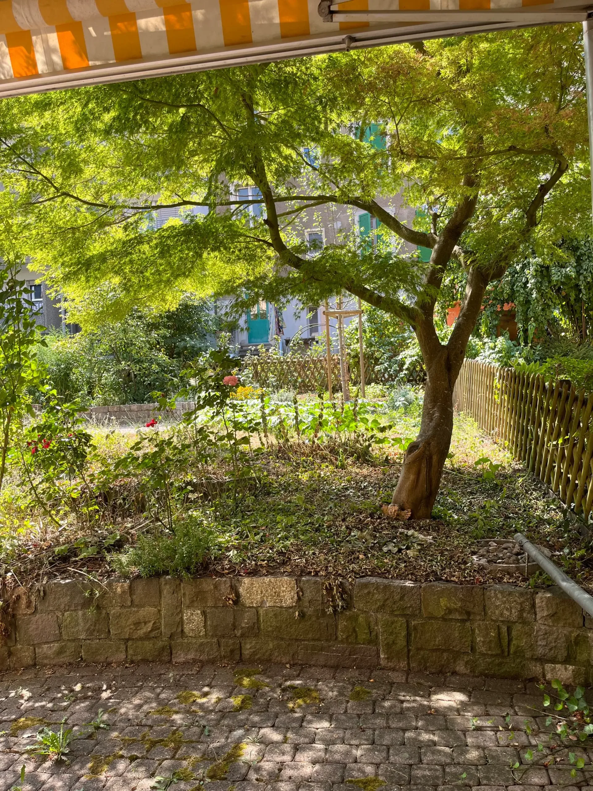 Bern - 4-Zimmerwohnung mit Gartensitzplatz im beliebten Mattenhof