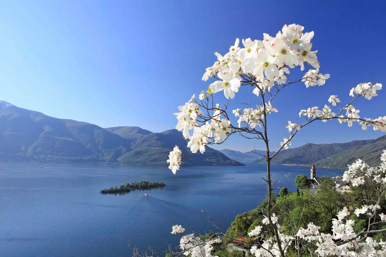 Abitazione primaria: 6.5 locali con vista lago