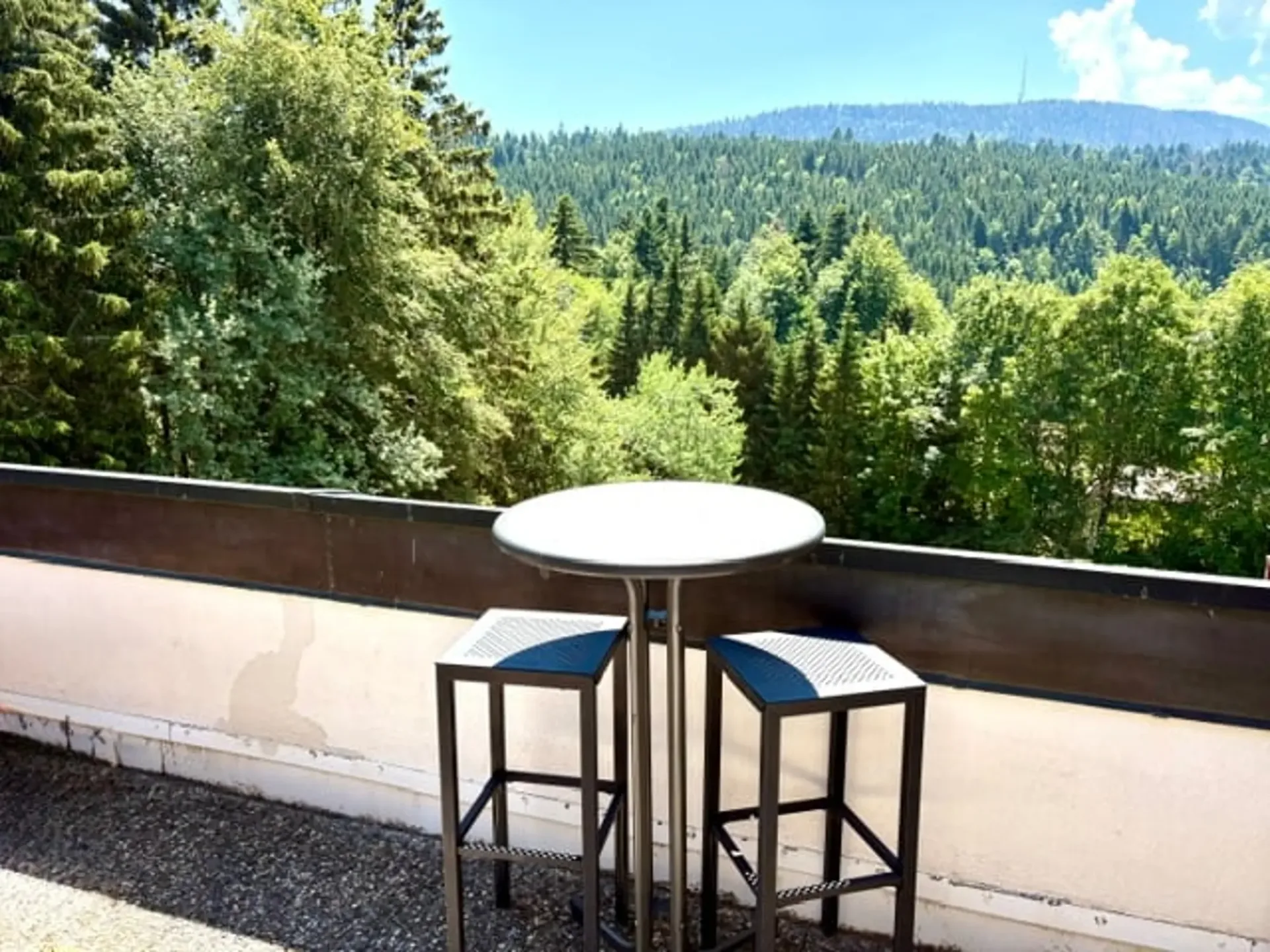 Charmantes Duplextwo-Raum-Wohnung in St-Cergue – Blick, Ruhe und Natur