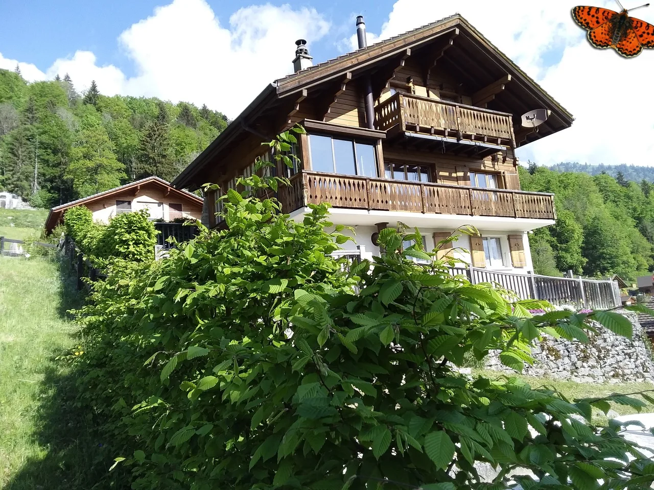 4 ½ locali a Sciernes d'Albeuve in un ambiente bucolico!