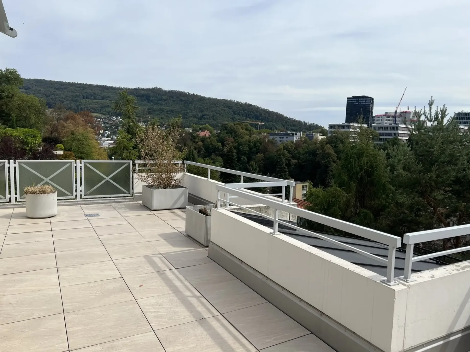 2.5-Zimmer-Attika mit grosser Terrasse & Weitblick  frisch renoviert