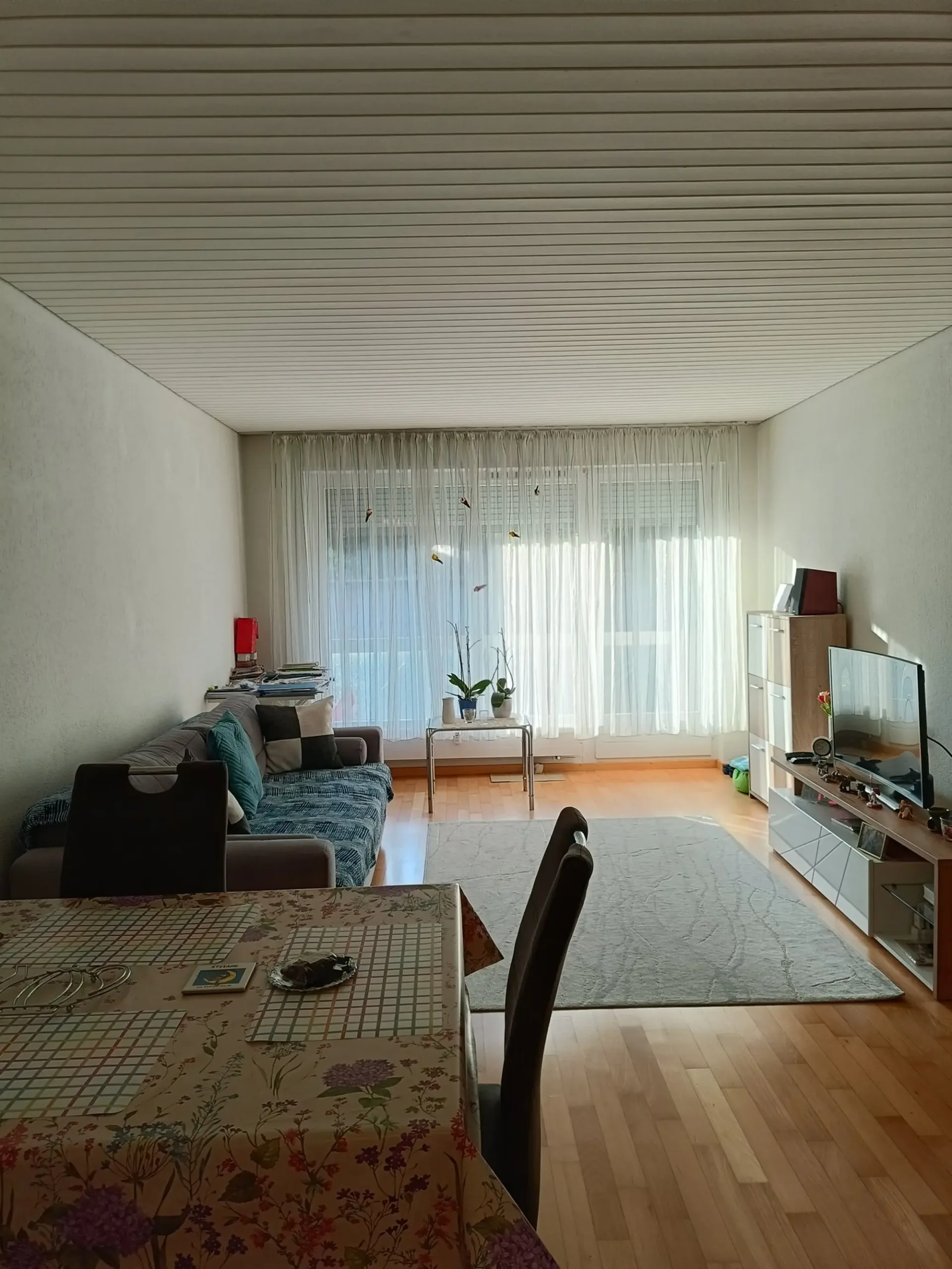 Appartamento 2 locali luminoso con balcone a Bern-Bümpliz