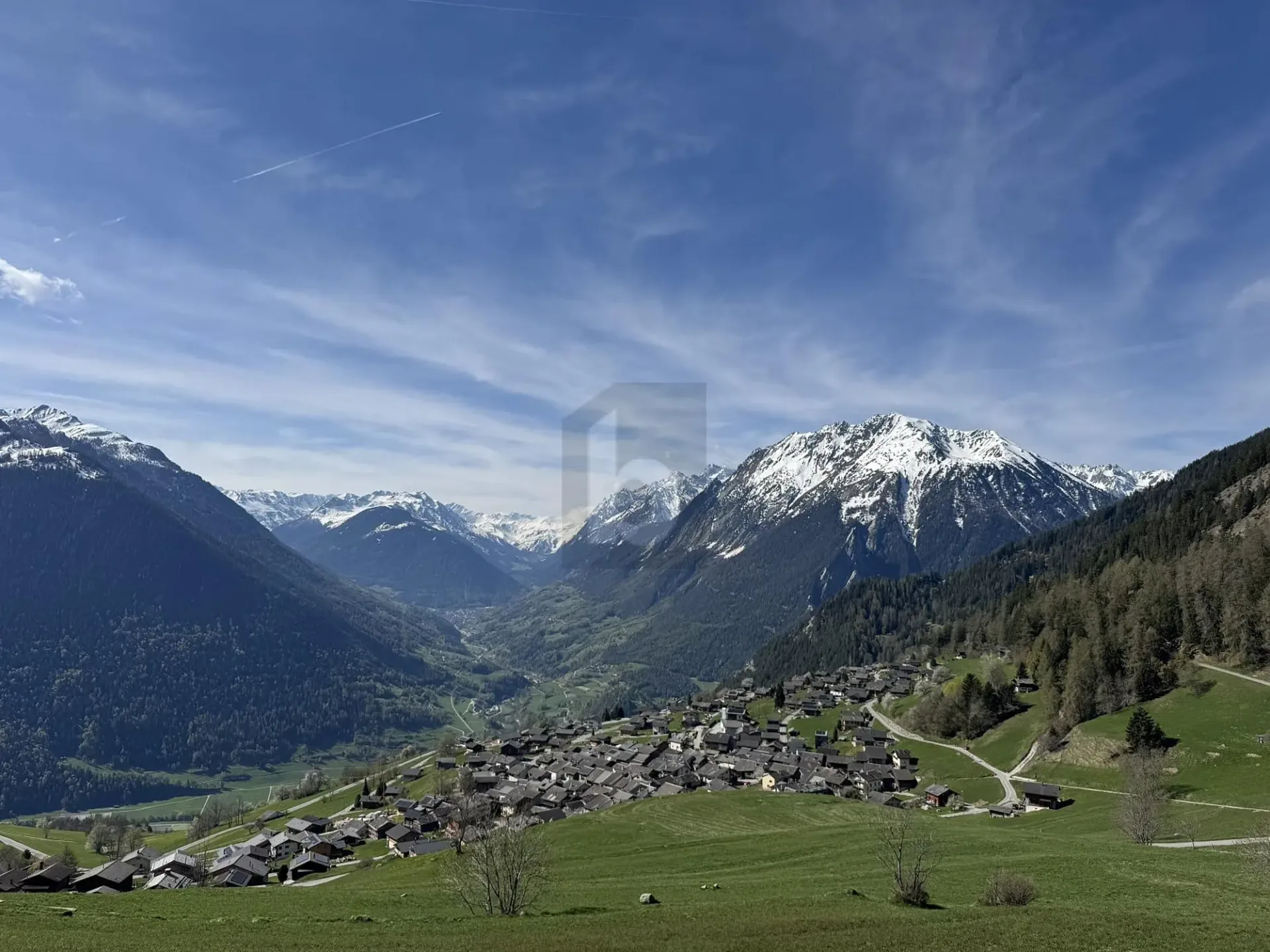 NATUR, FREIE SICHT & EINZIGARTIG