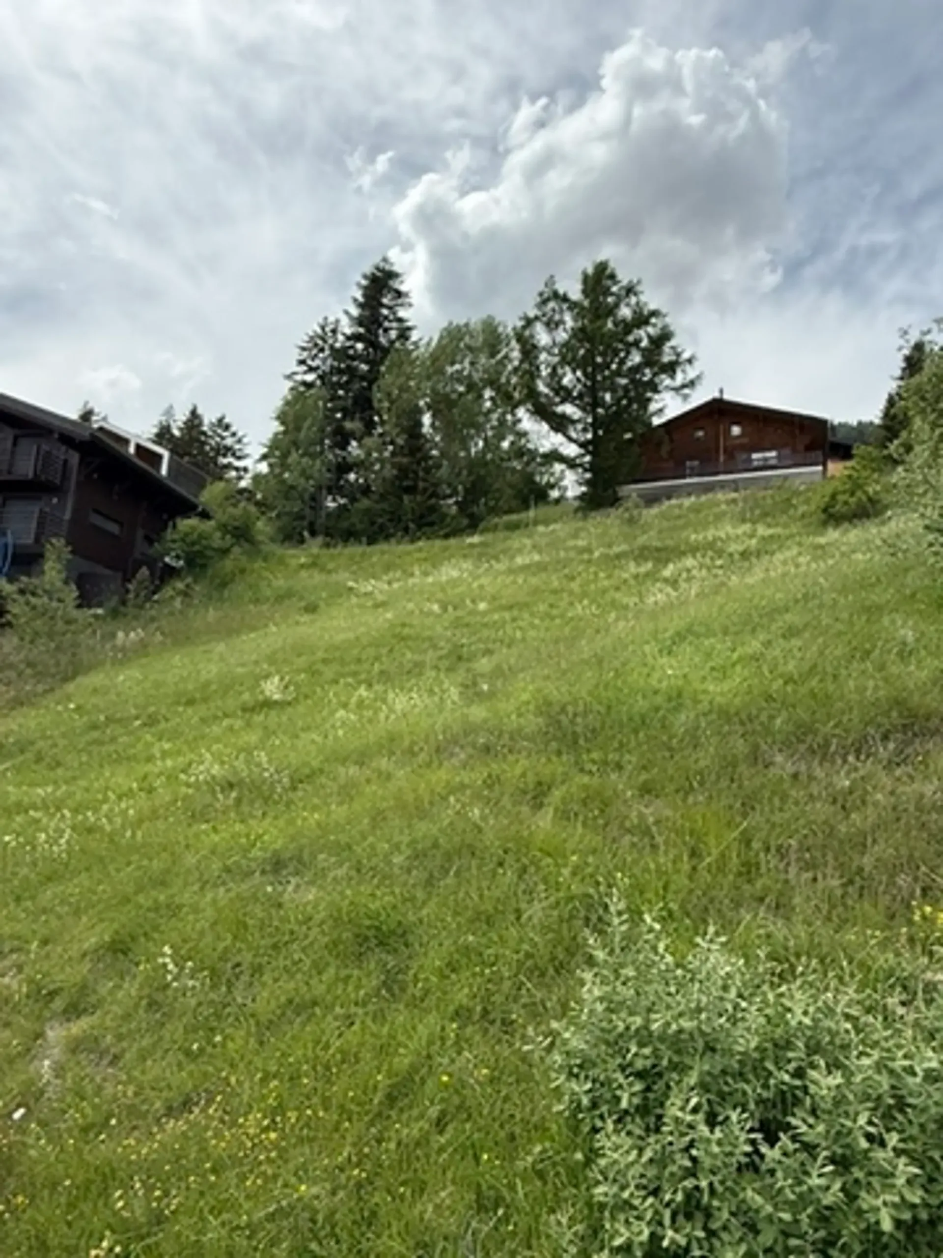Bauparzelle Nr. 242 - Bauland