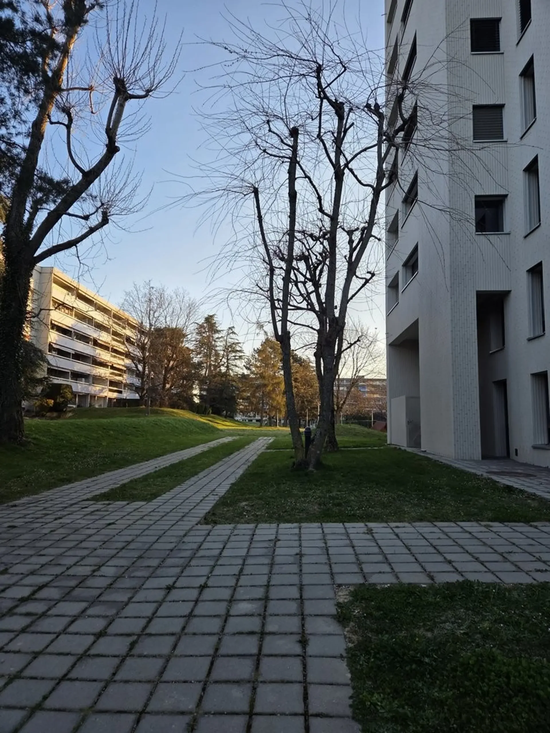 Appartement au calme, proche de toutes commodités