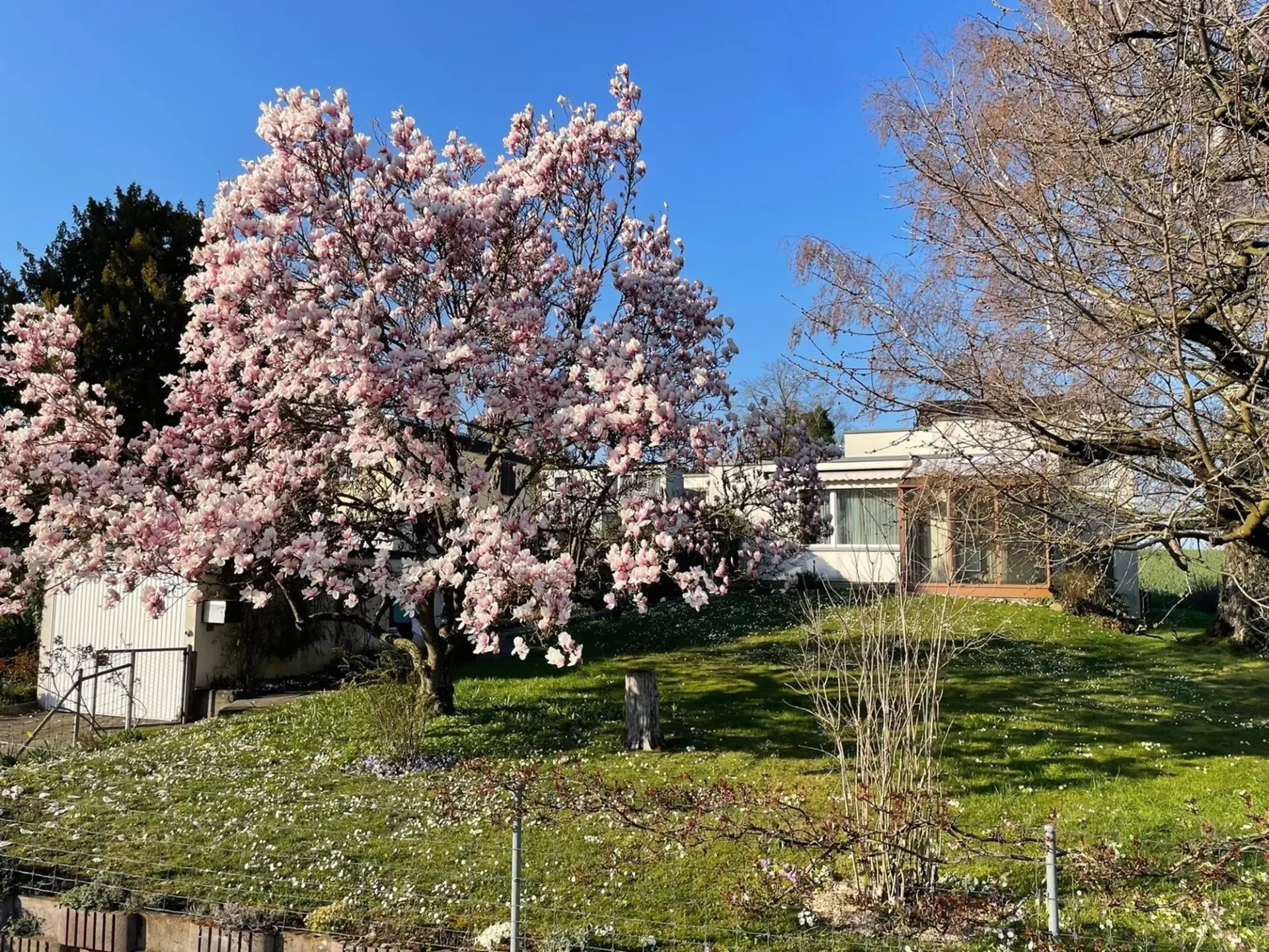 Freistehendes 5-Zimmer- EFH mit Wintergarten,  Garten mit schönem Baumbestand  in Witterswil –