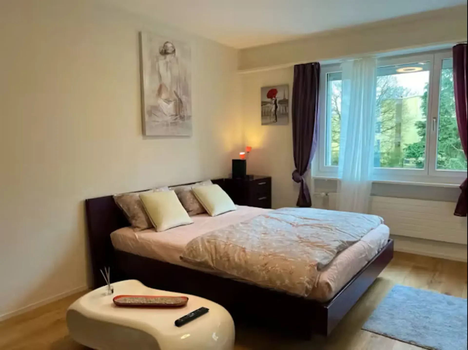 ✨Voll möblierte 1.5-Zimmer-Wohnung in Langnau am Albis