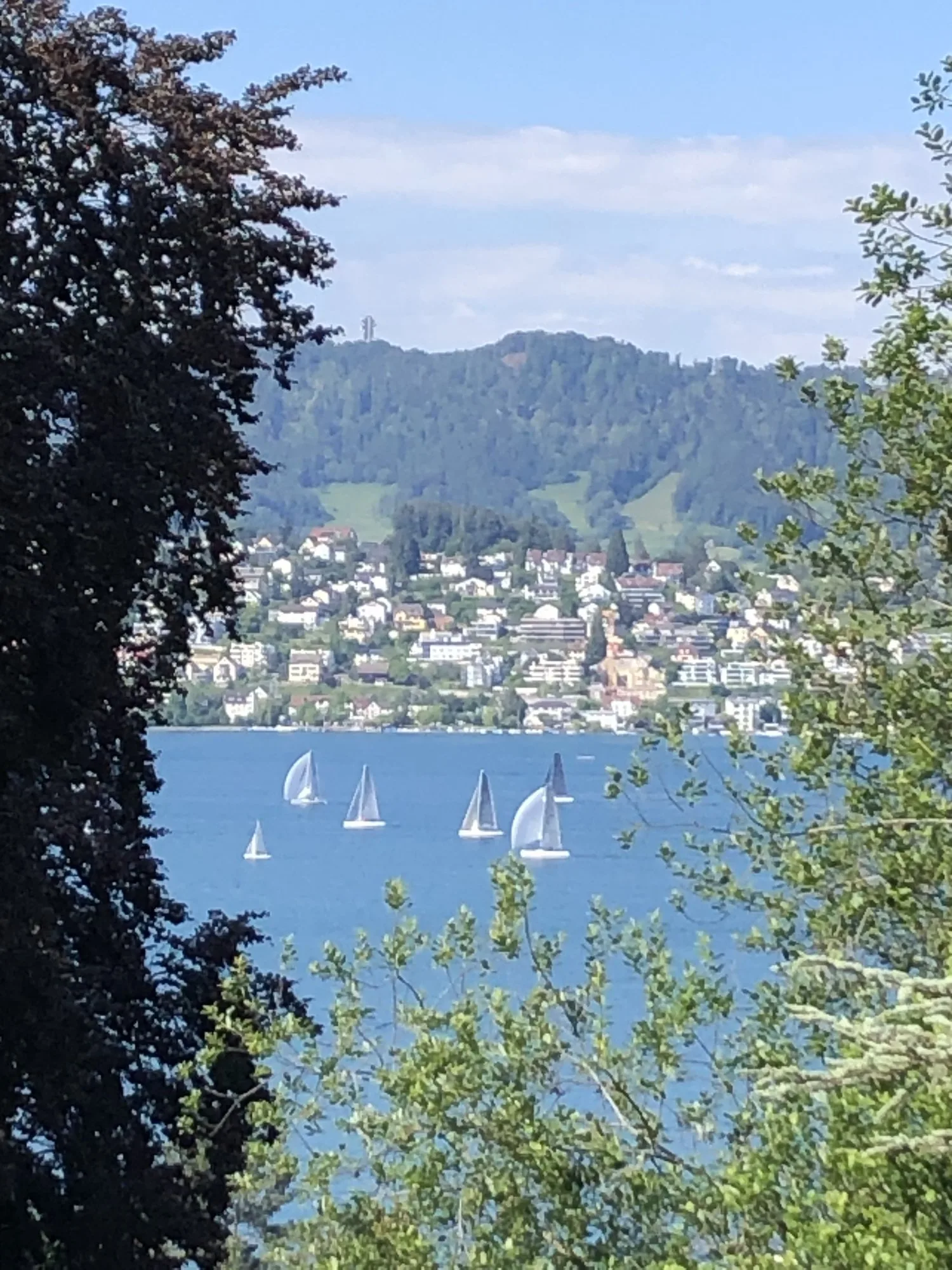 Helle, moderne Wohnung mit Seesicht