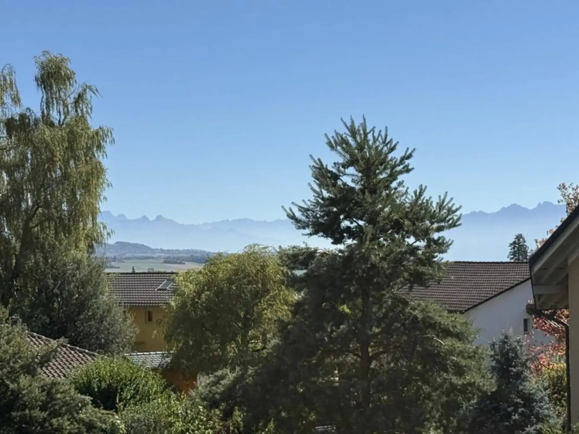 Wohnung mit 5,5 Zimmern und sehr schönem Ausblick auf die Alpen und den Jura
