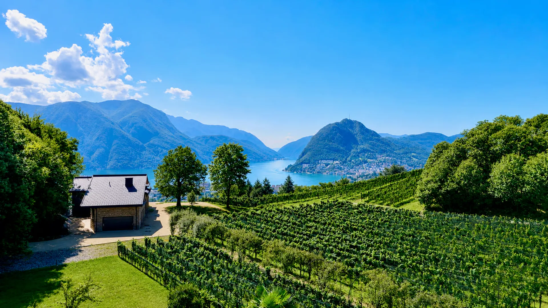 Esclusiva Villa Circondata dai Vigneti con Vista Aperta sul Lago
