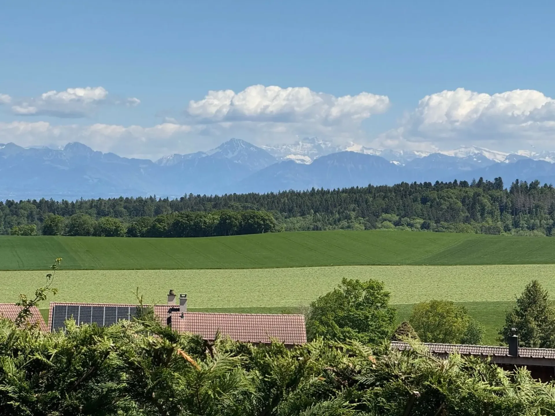 Superbe appartement grand jardin, grande terrasse vue lac et alpes