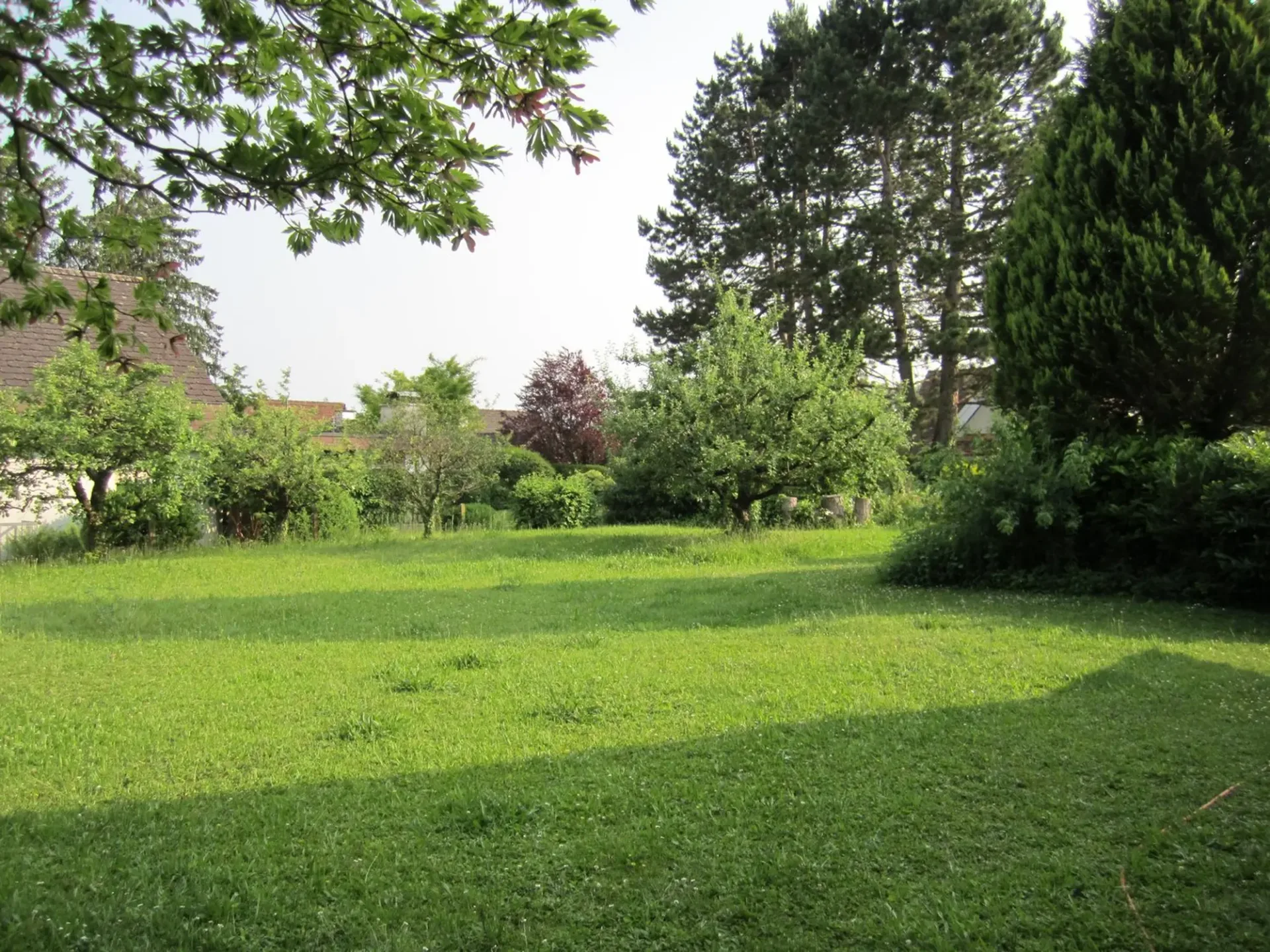 Occasion rare au Rosenberg 788 m² de terrain à bâtir en situation idéale