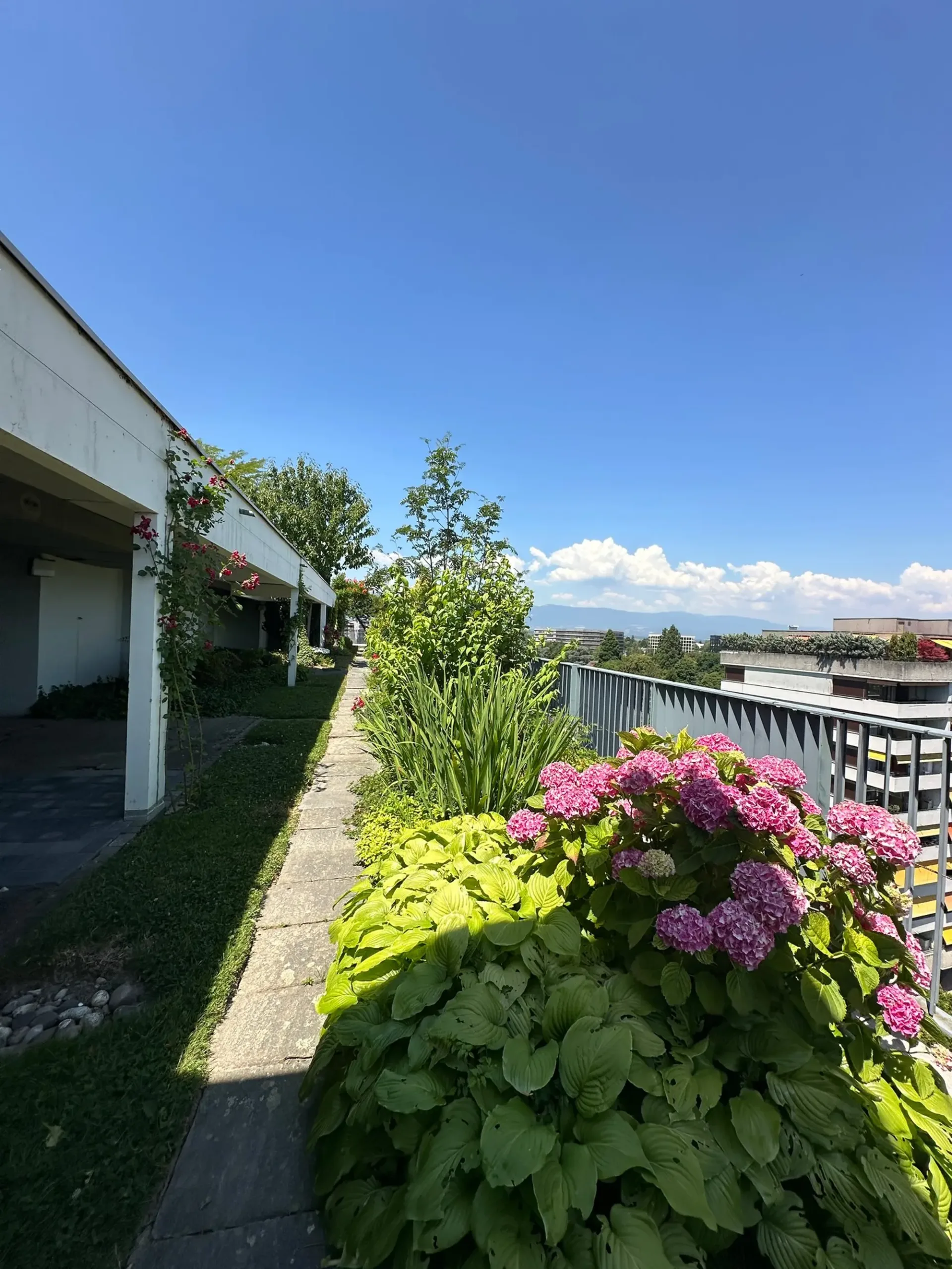 Nice apartment 3 bedrooms with swimming pool