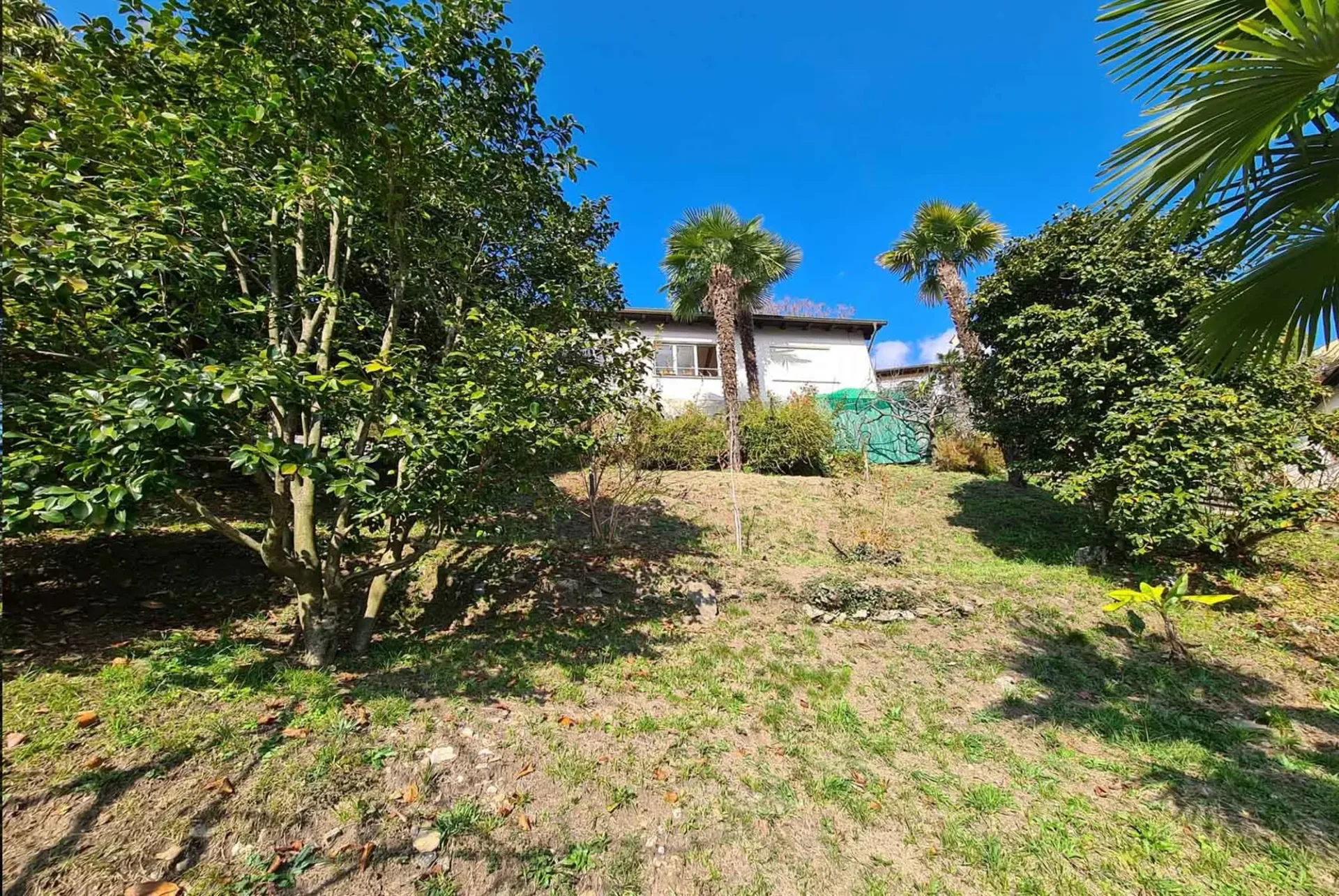 Geschäftlich - Großes bebaubares Grundstück mit Seeblick in Locarno