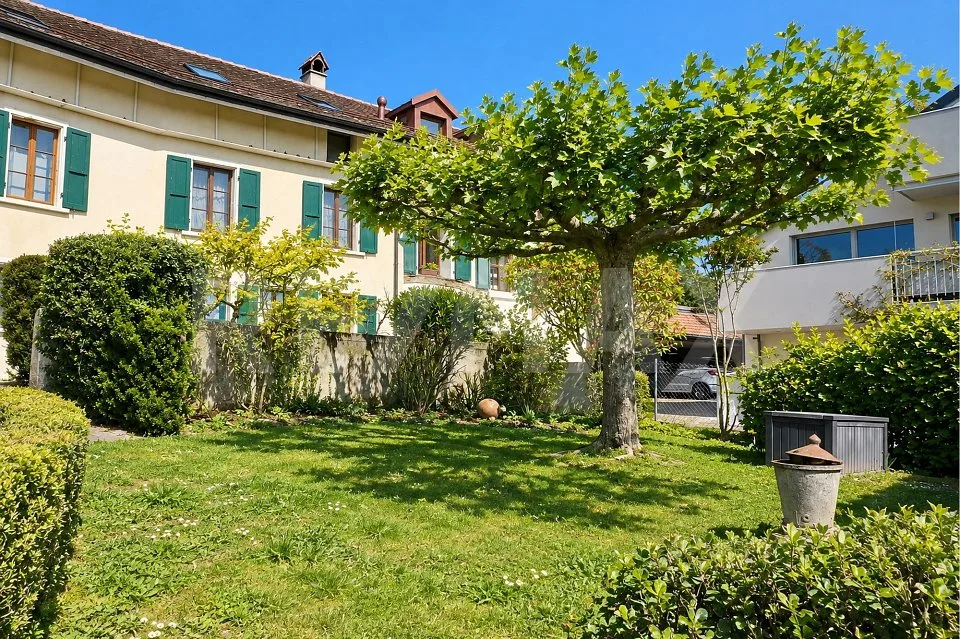 Zwischen Weinberg und Genfer See: 273 m² großes Dorfhaus