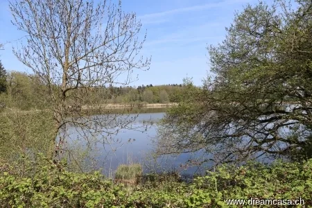 Wohnen im Paradies