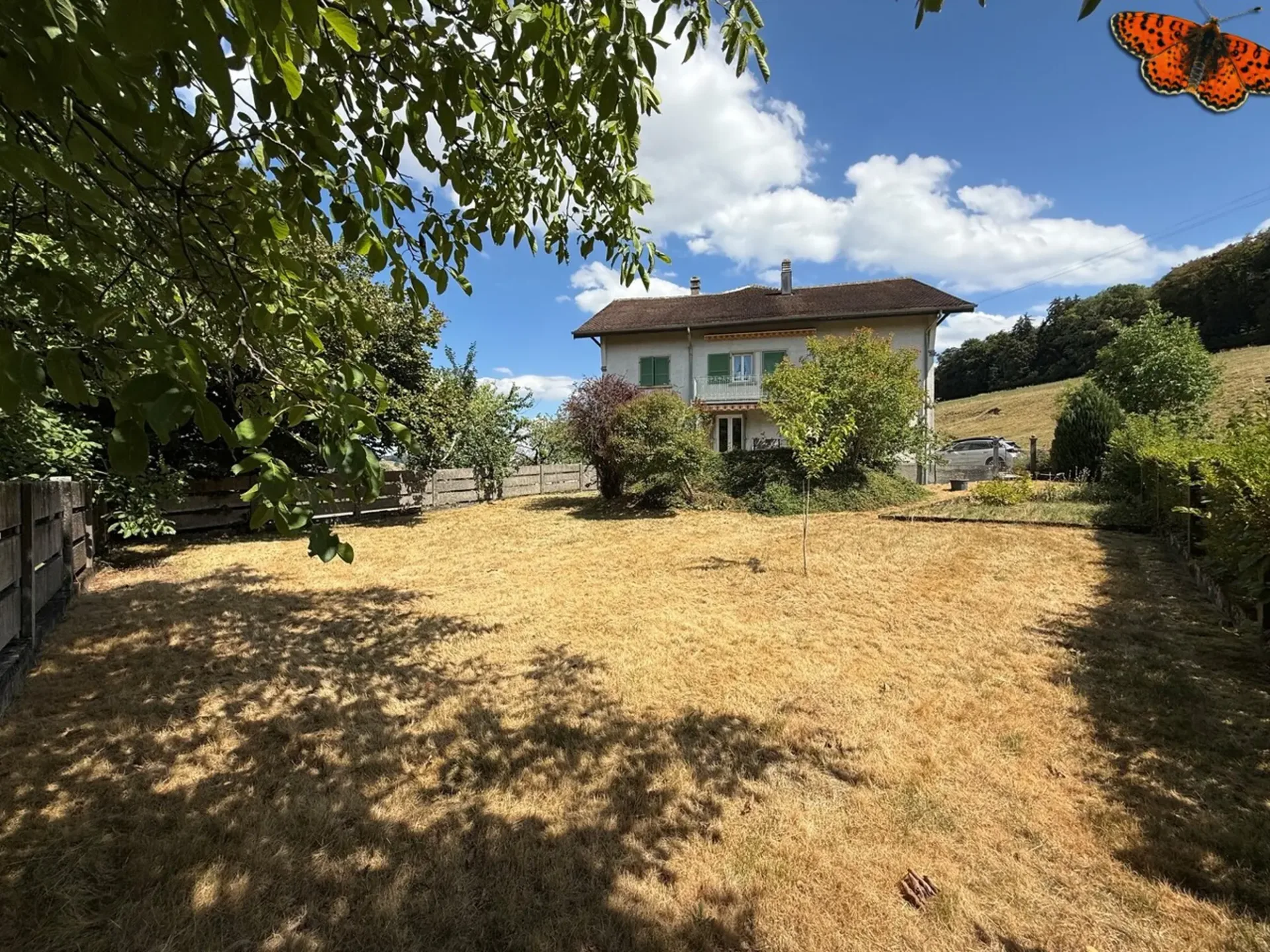 3½ ZIMMER - Mit Garten