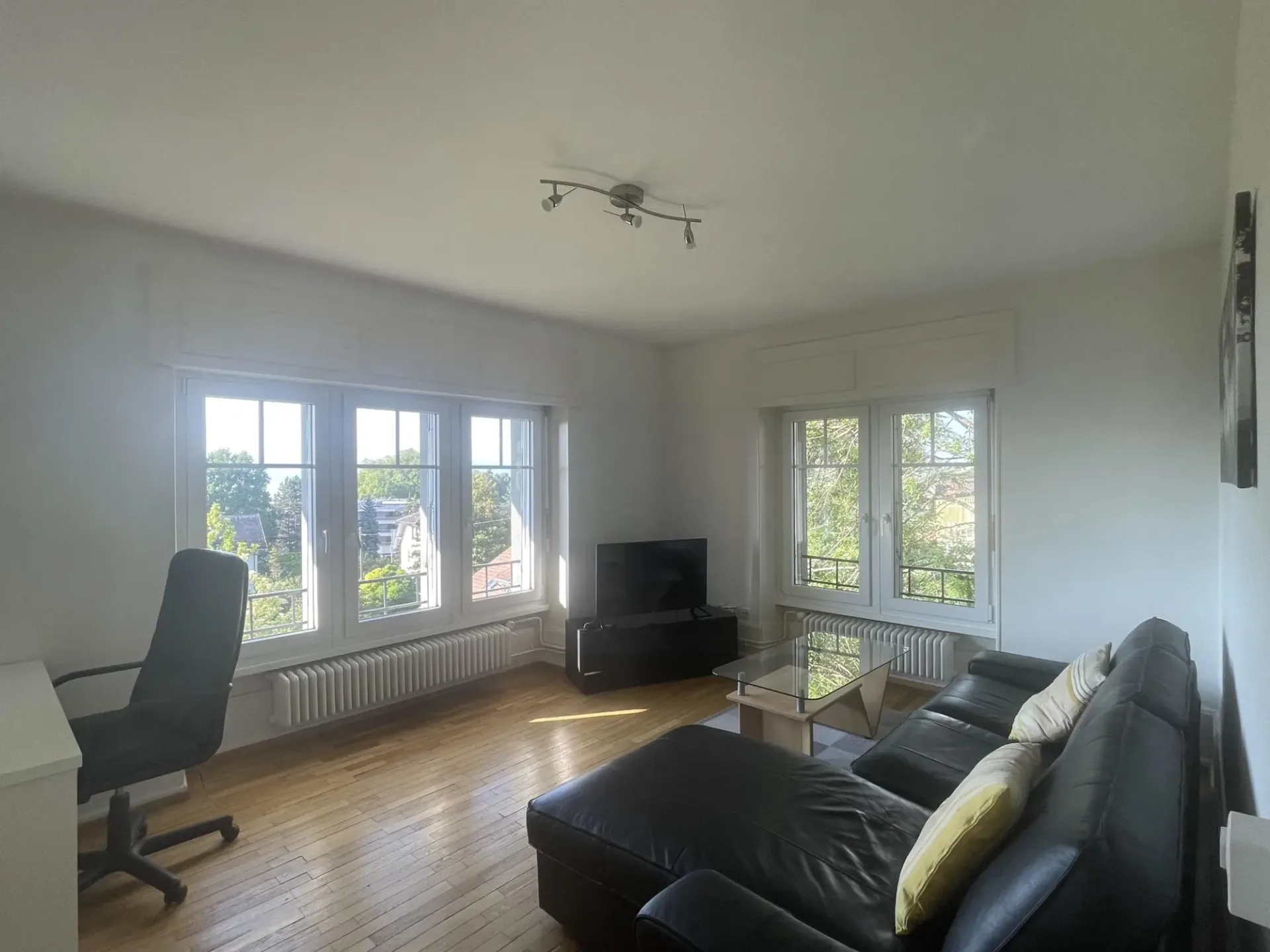 GROSSES 2.5 ZIMMER MOBILIERT MIT SEEBLICK