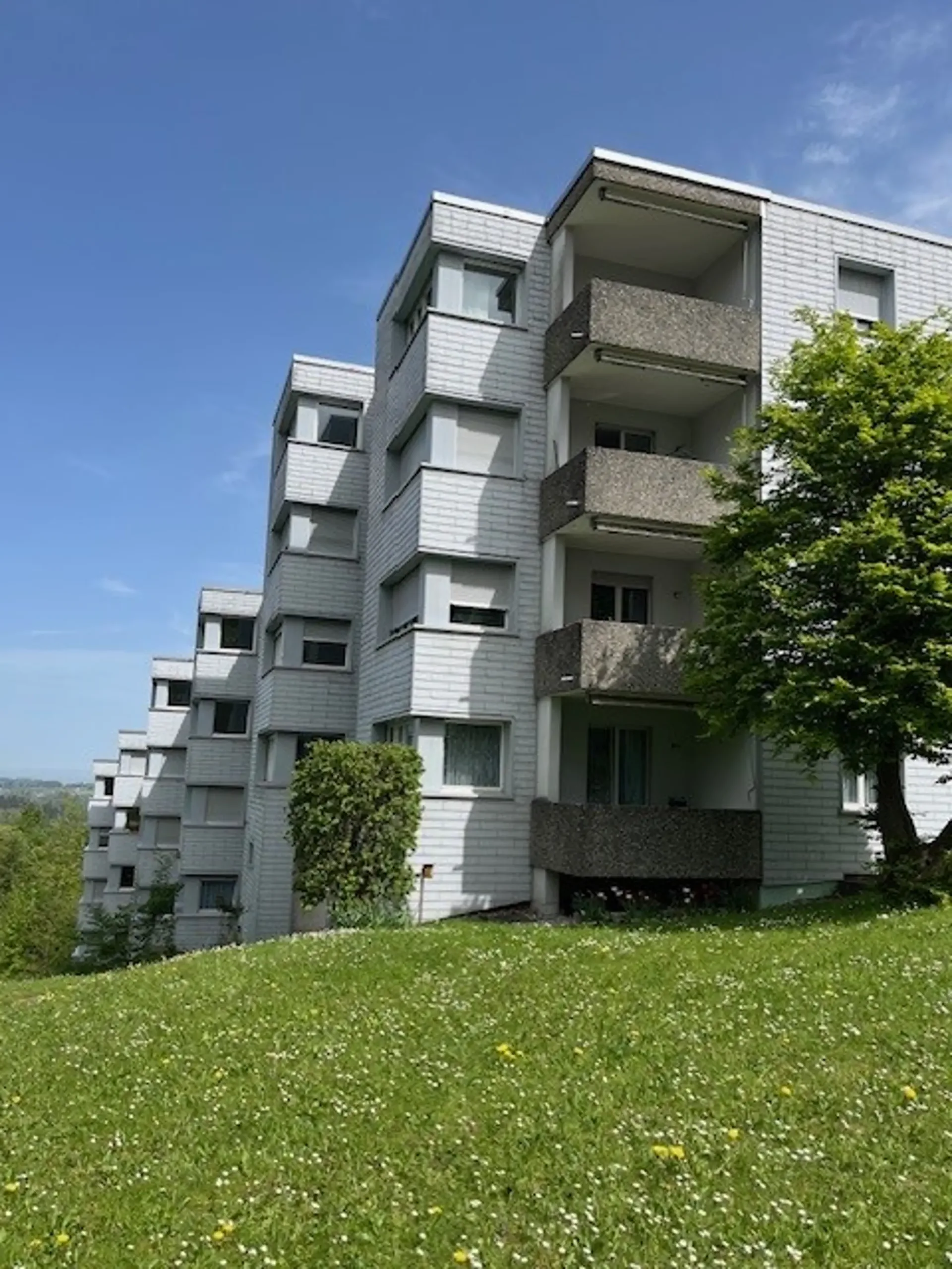 Charmante 3.5 Zimmer Wohnung im Grünen