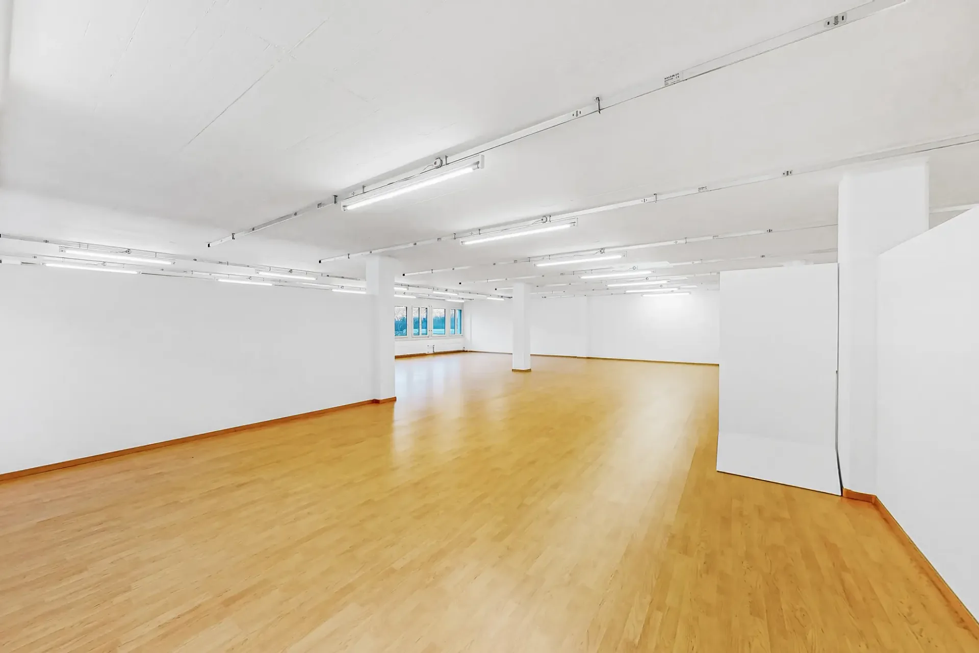 Bürofläche, die Ideen formt 249m2 Büro in Quartino