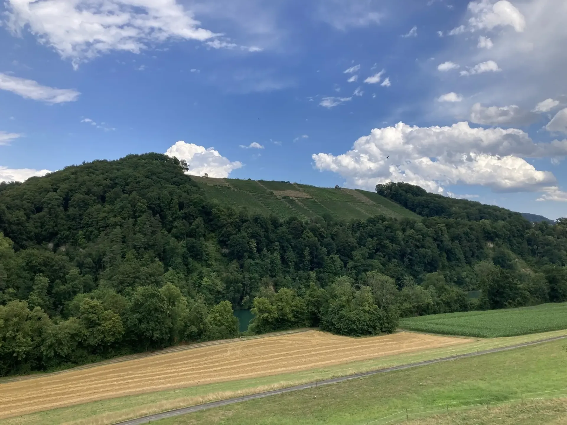 Helle 4½-Zimmerwohnung mit schöner Aussicht auf den Rhein - Bankgeprüft