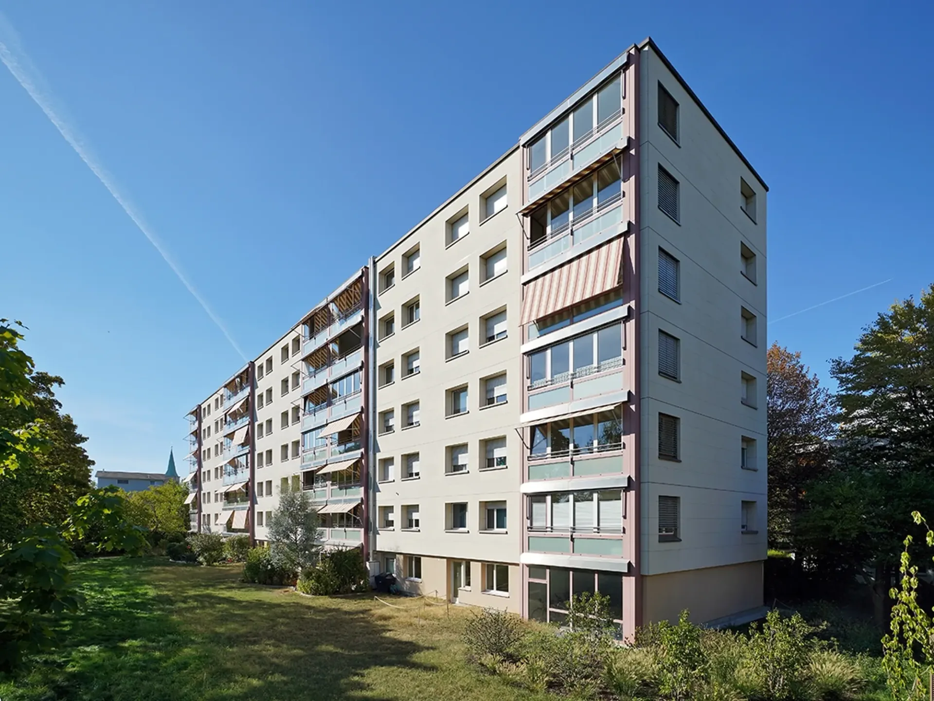 helle, neurenovierte Wohnung im Grünen