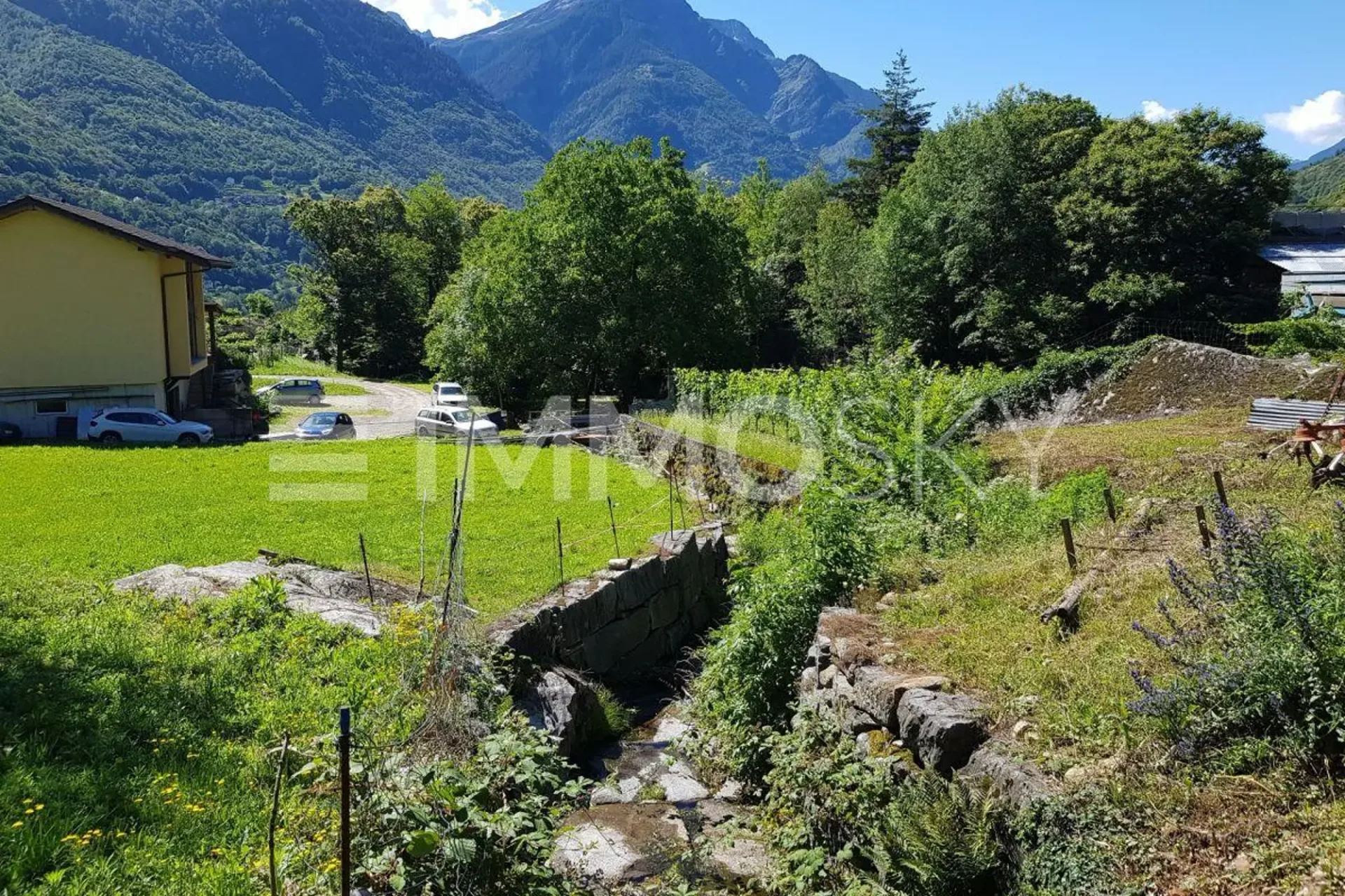 Zwischen Sonne und Natur