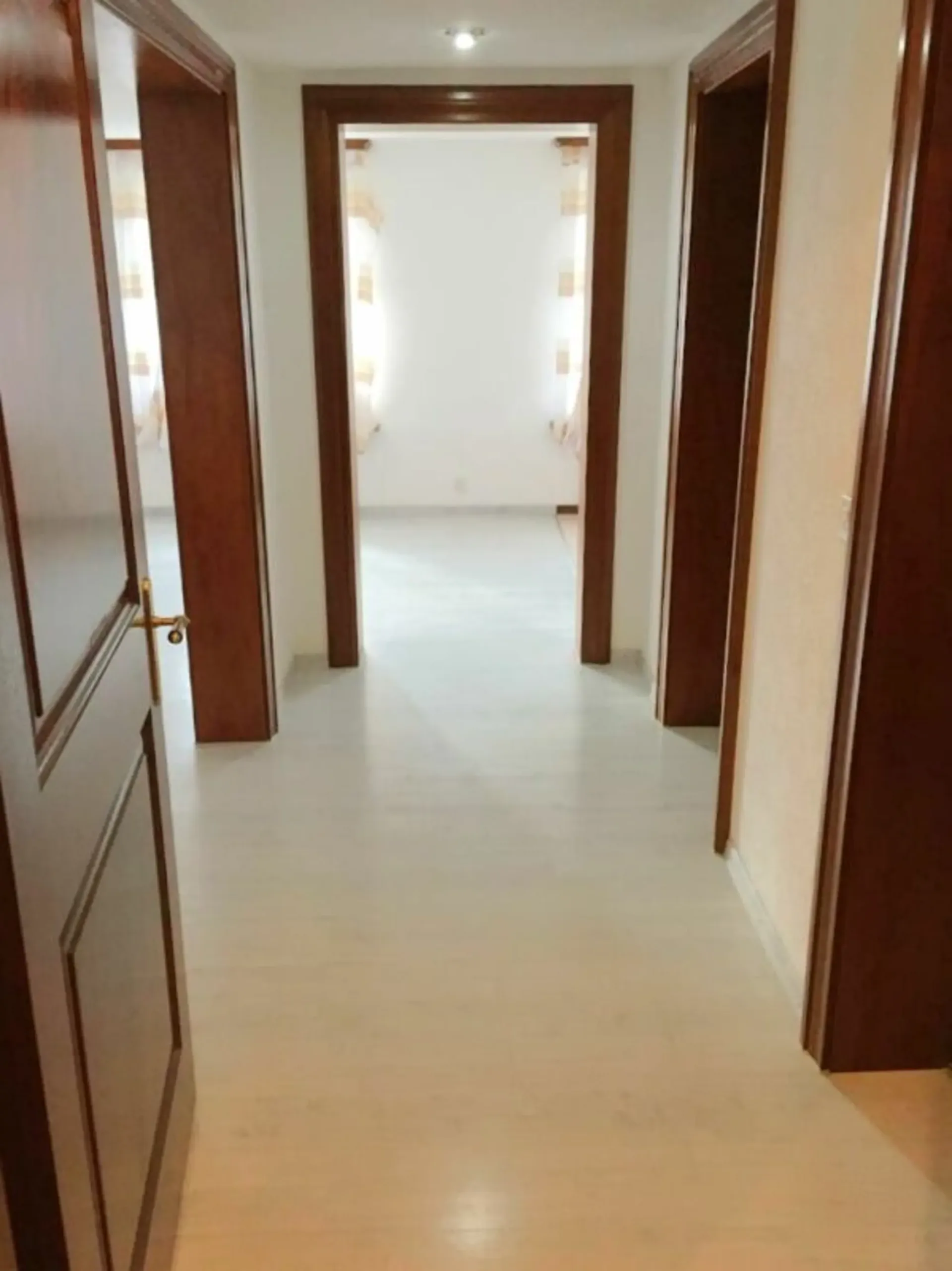 Furnished 2 1/2 room apartment in the heart of Wil for rent