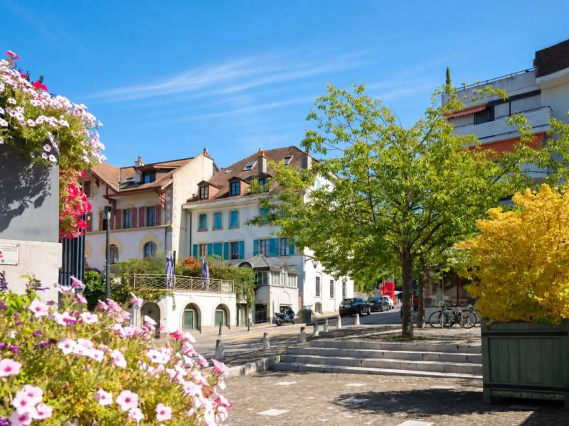 Gemütliche Wohnung - Chêne-Bourg