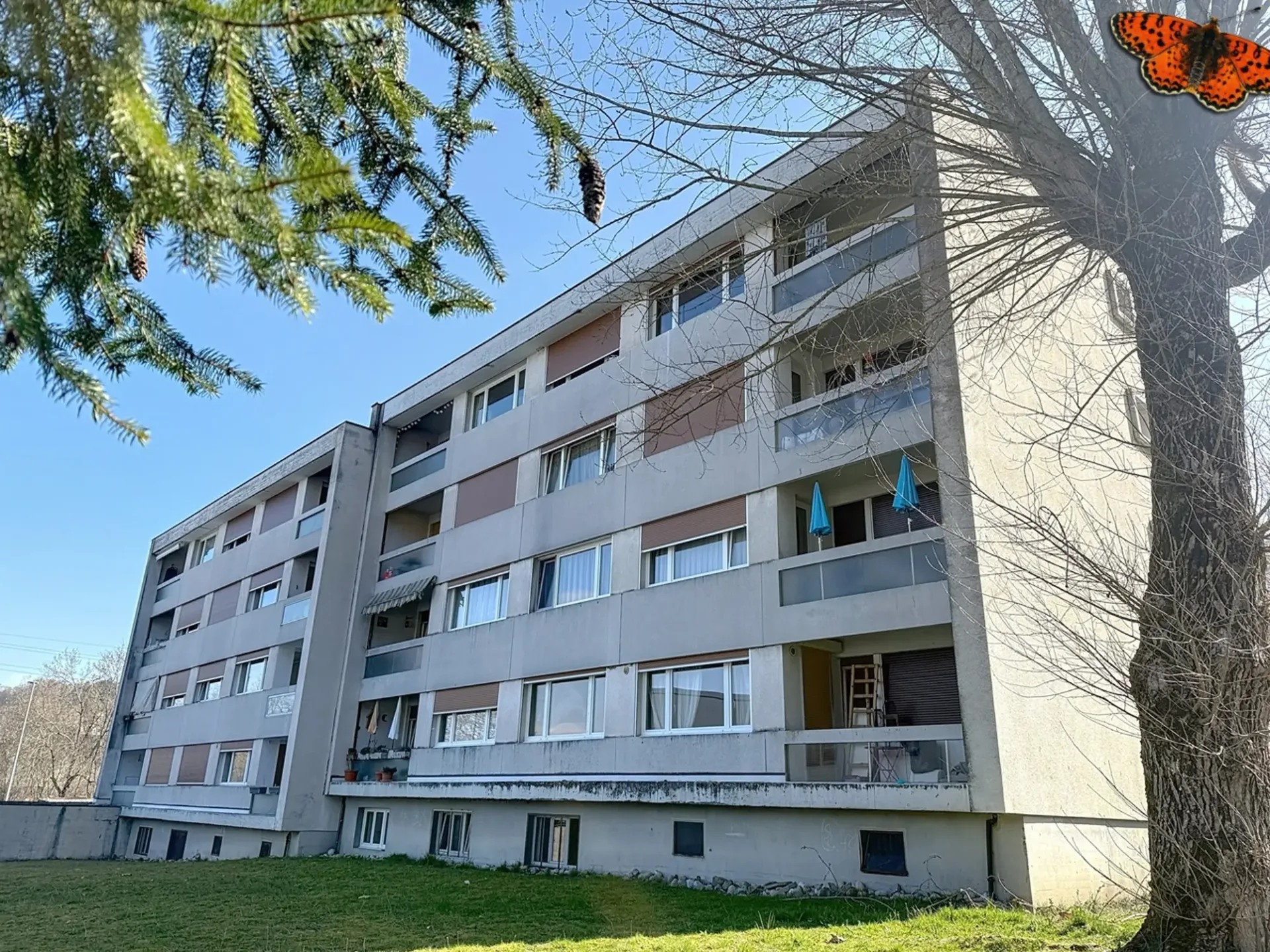 3½ Zimmer - Mit Balkon