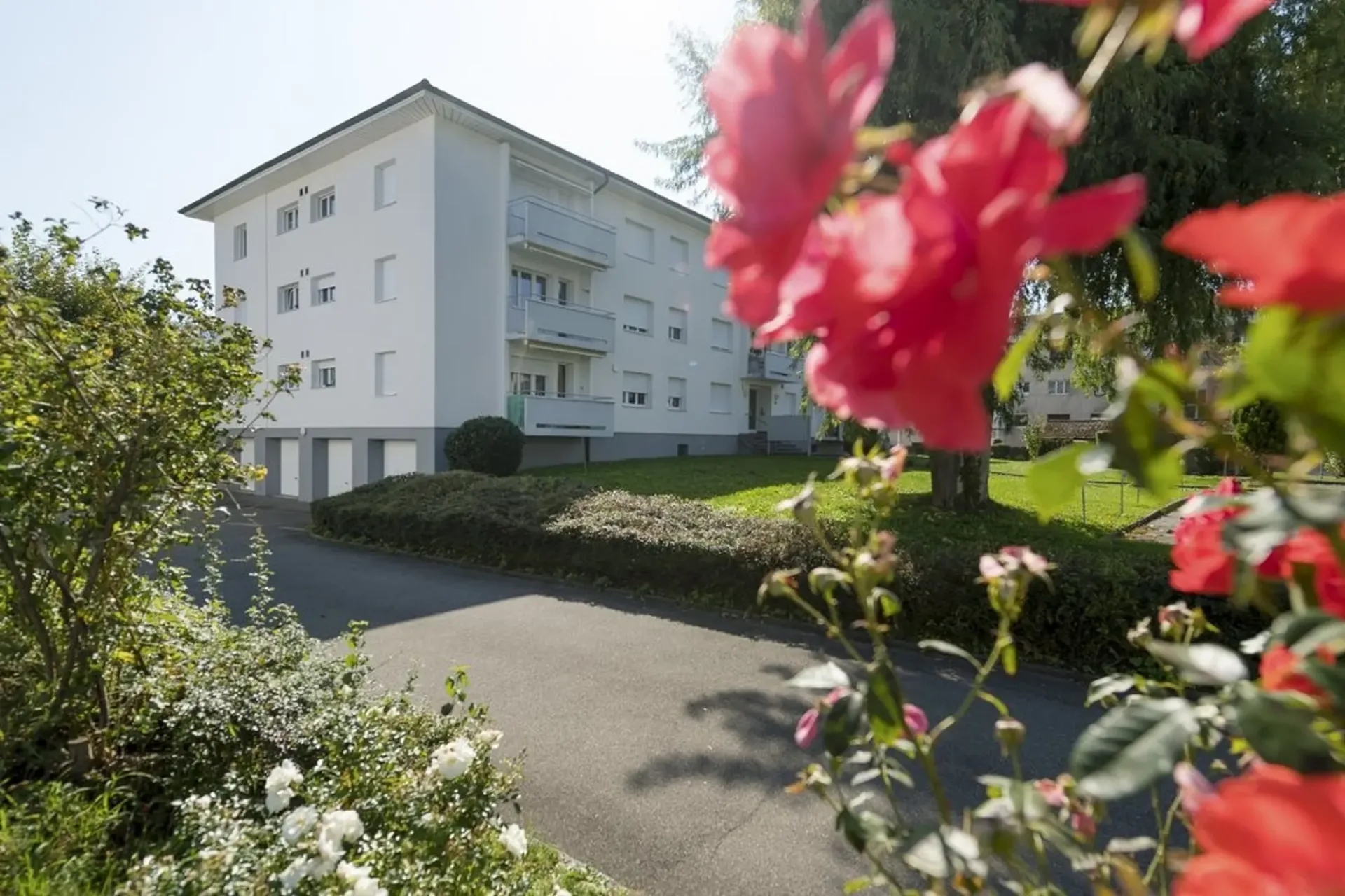 Mein neues Zuhause im schönen Belp!