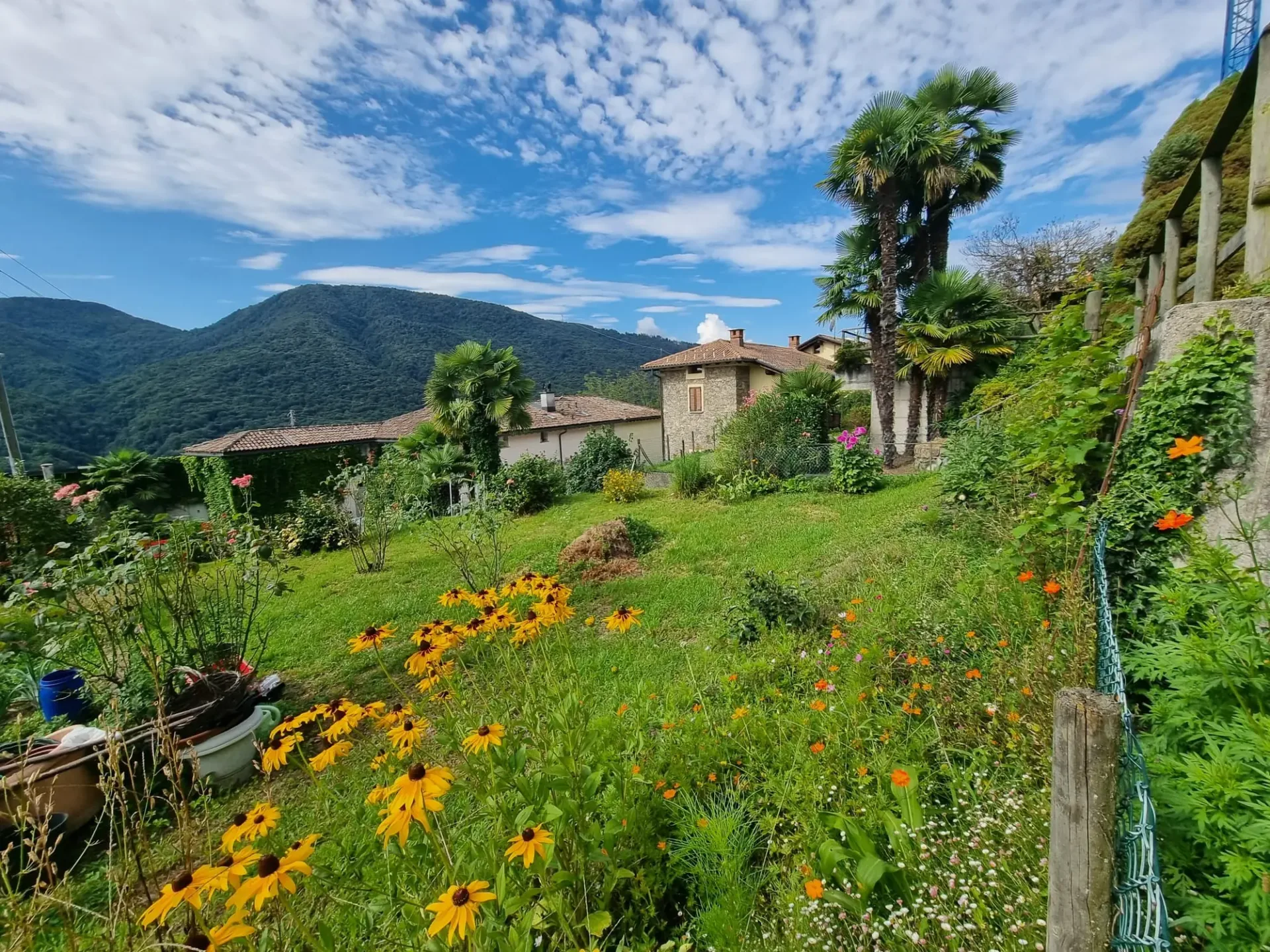 Prächtiges bebaubares Grundstück mit Projekt in Monteggio