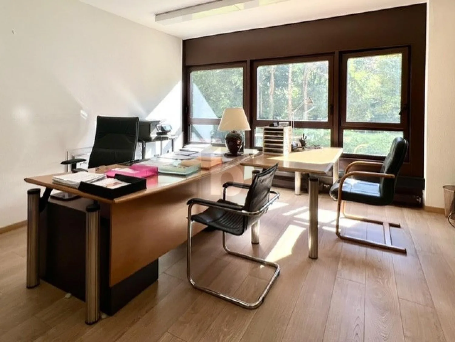 BEL ESPACE ENSOLEILLÉ AU CALME FACE AUX ARBRES