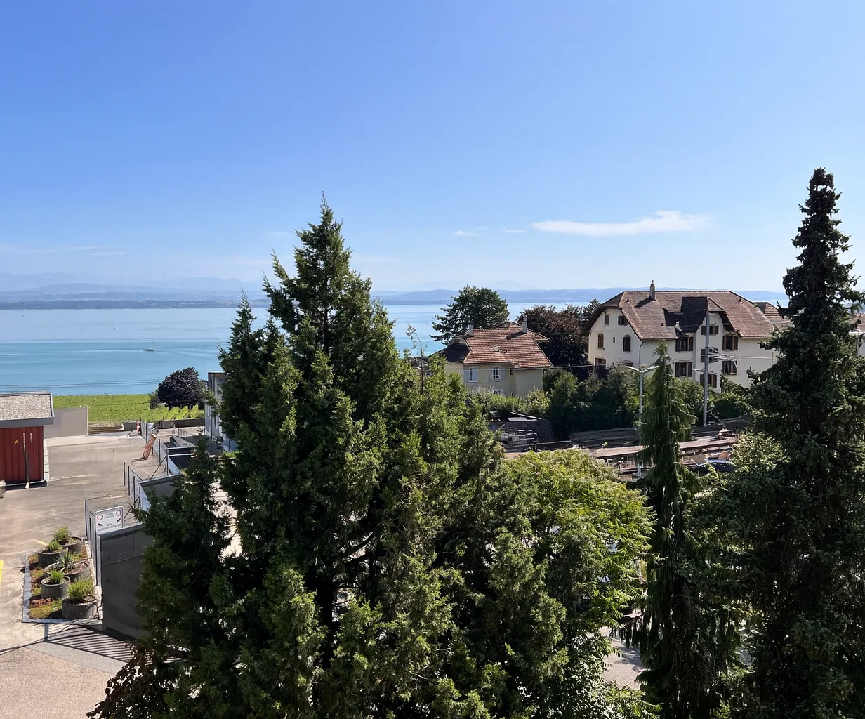 Lumineux appartement avec vue sur lac et les Alpes