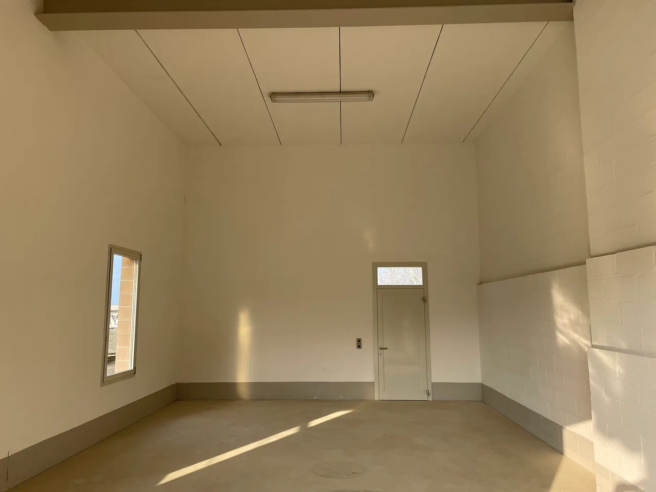 Espace commercial à Genestrerio